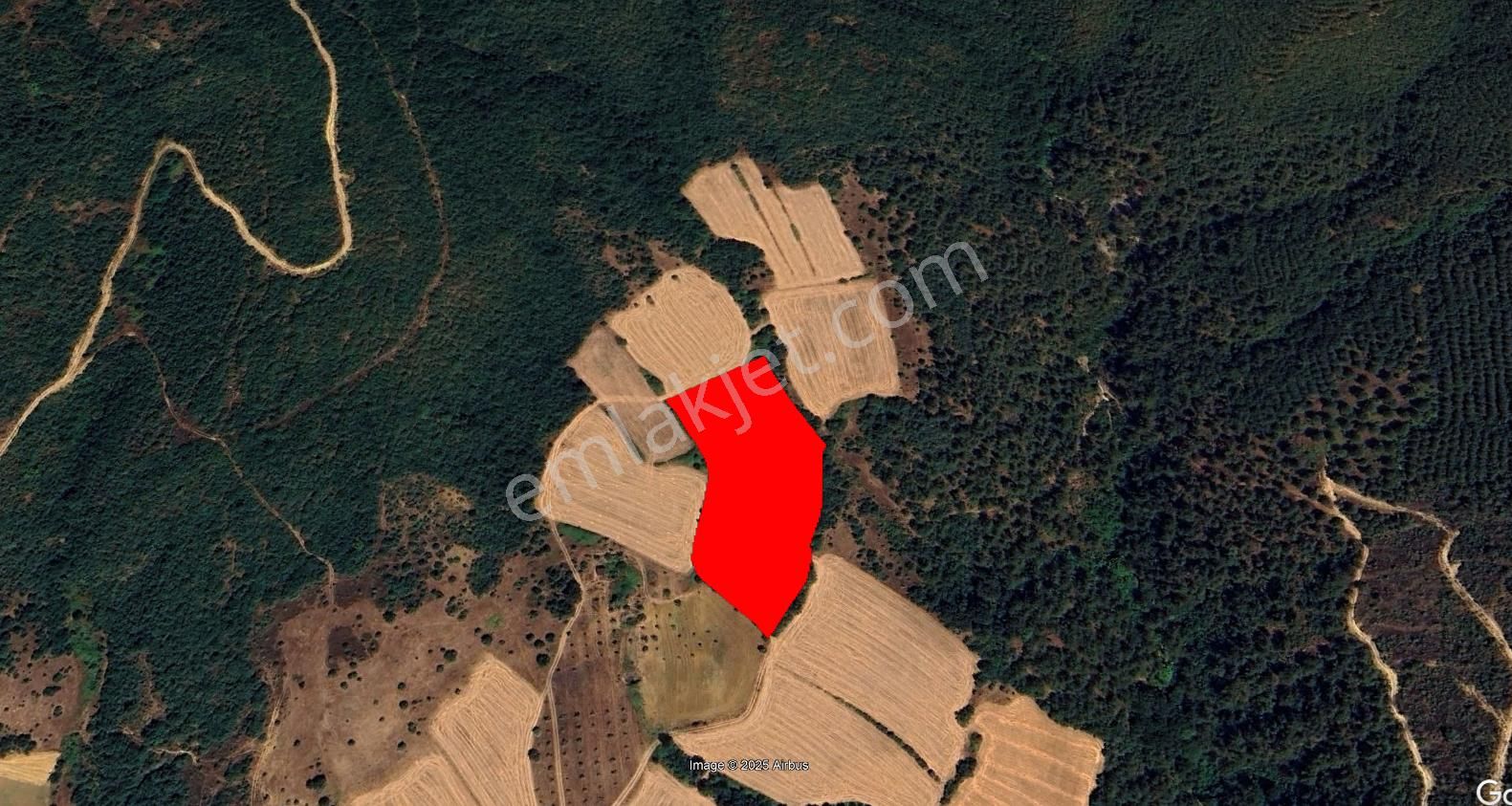 Roma' Dan Selimiye Mahallesi' Nde Satılık Tarla