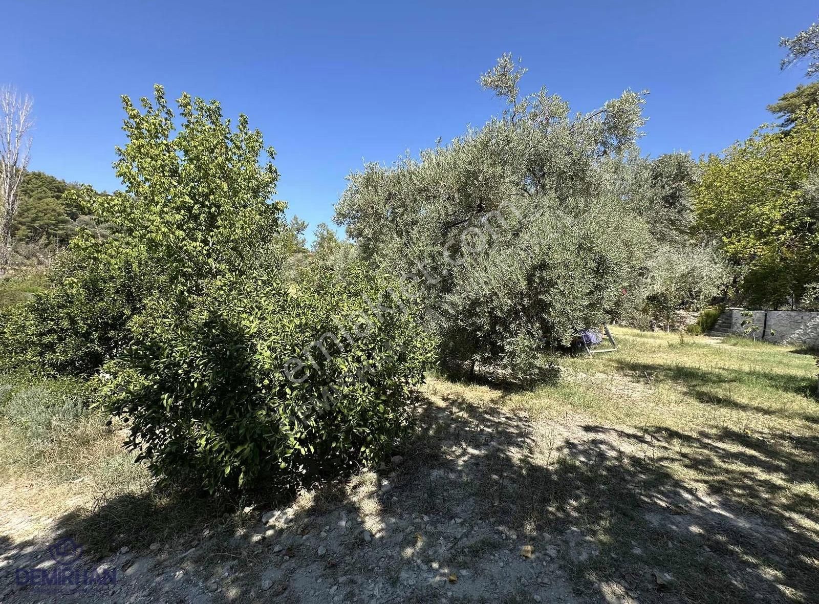 Kaş Kalkan, Doğa İçinde Geniş Arazili Müstakil Ev - Görsel 4