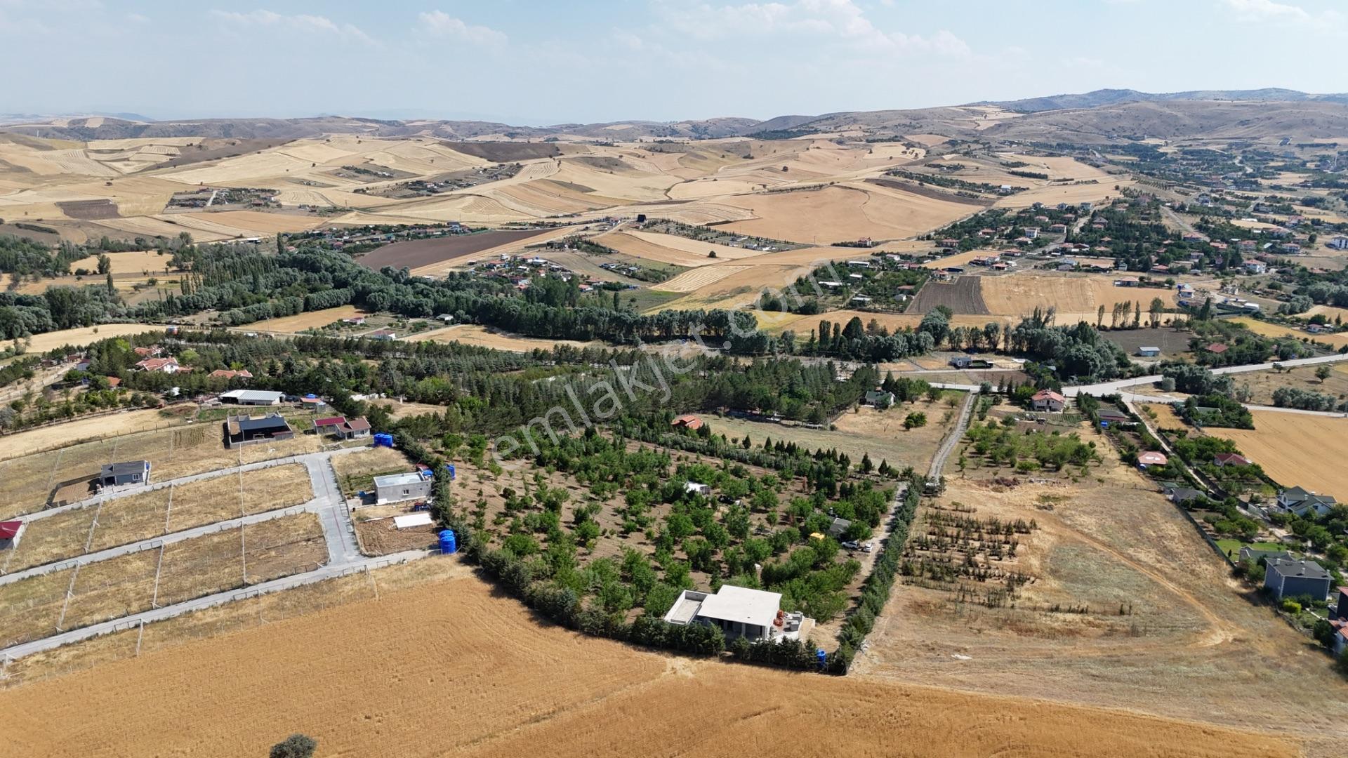 Pursaklar Yeşilyurt'ta 18.198 M2 Müstakil Tapulu Çiftlik - Görsel 17