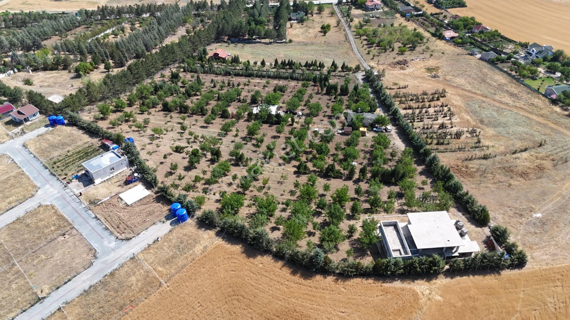 Pursaklar Yeşilyurt'ta 18.198 M2 Müstakil Tapulu Çiftlik - Görsel 4