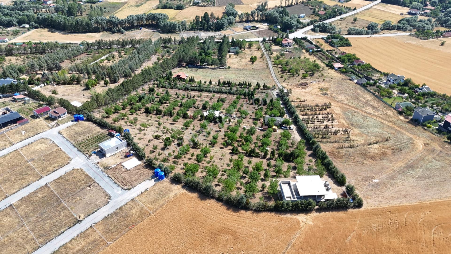 Pursaklar Yeşilyurt'ta 18.198 M2 Müstakil Tapulu Çiftlik - Görsel 5