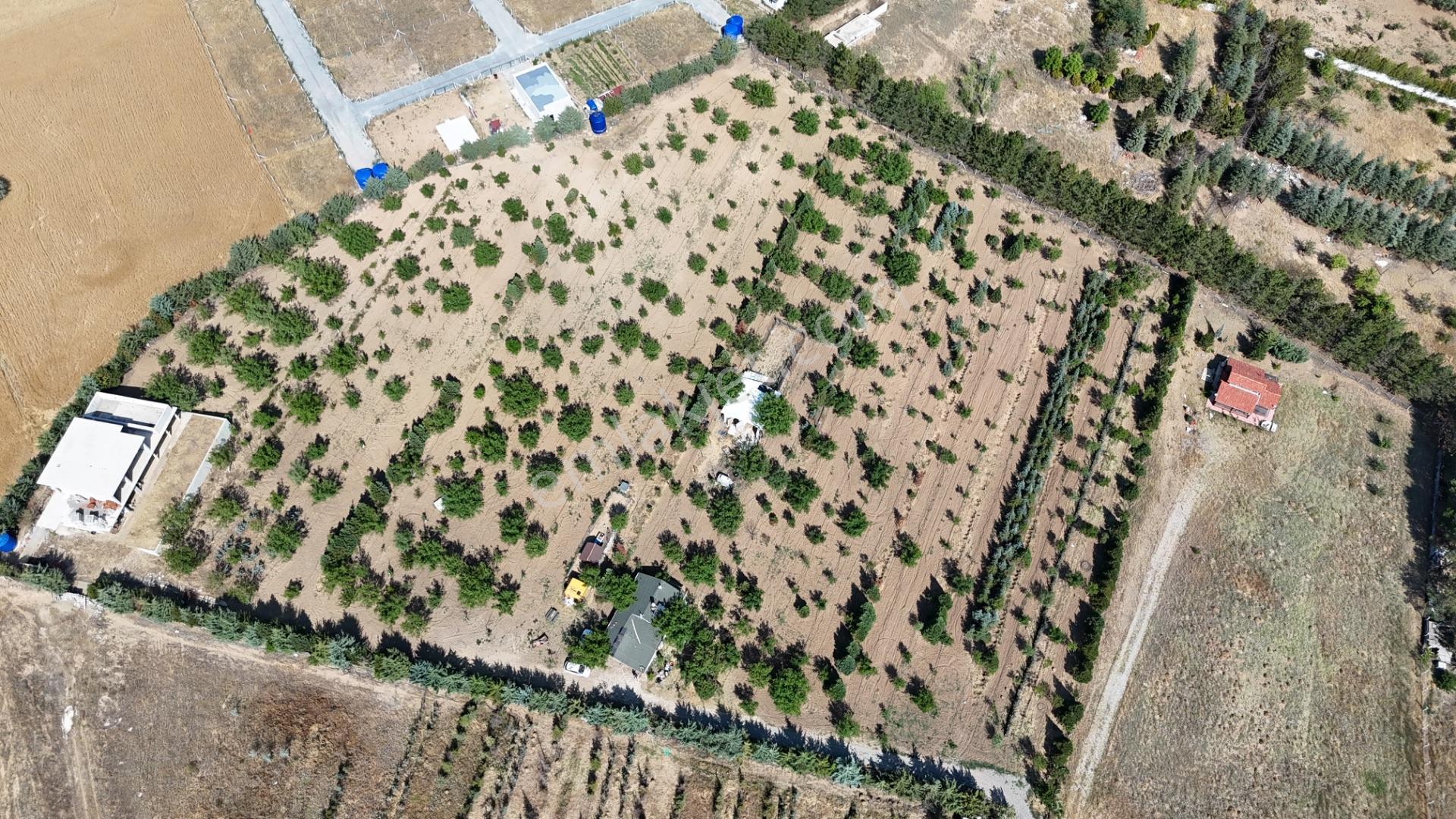 Pursaklar Yeşilyurt'ta 18.198 M2 Müstakil Tapulu Çiftlik - Görsel 27