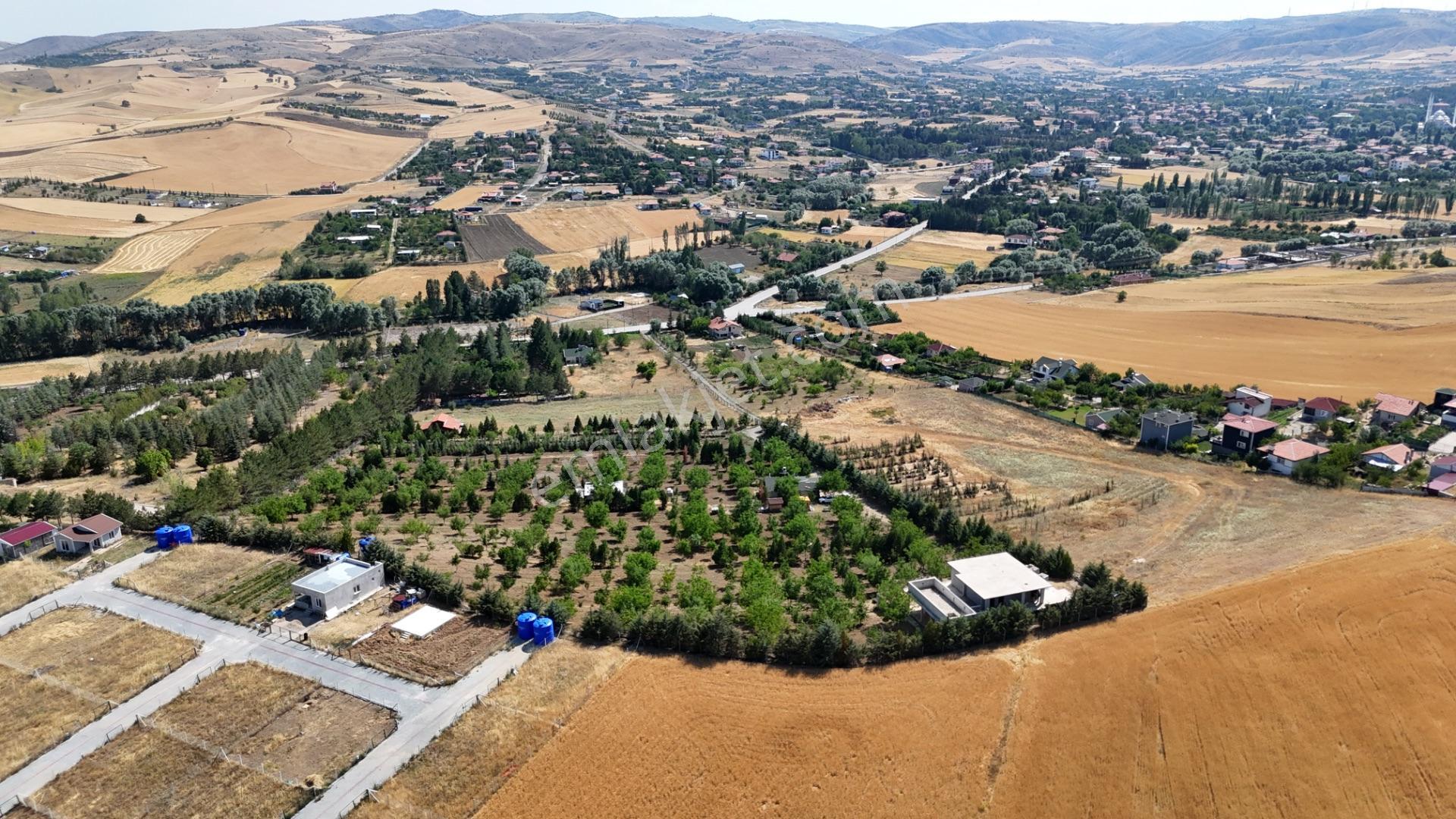 Pursaklar Yeşilyurt'ta 18.198 M2 Müstakil Tapulu Çiftlik - Görsel 10