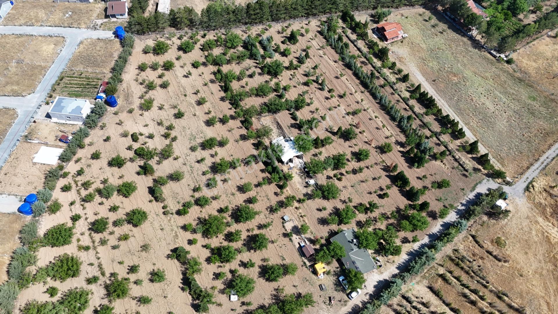 Pursaklar Yeşilyurt'ta 18.198 M2 Müstakil Tapulu Çiftlik - Görsel 15