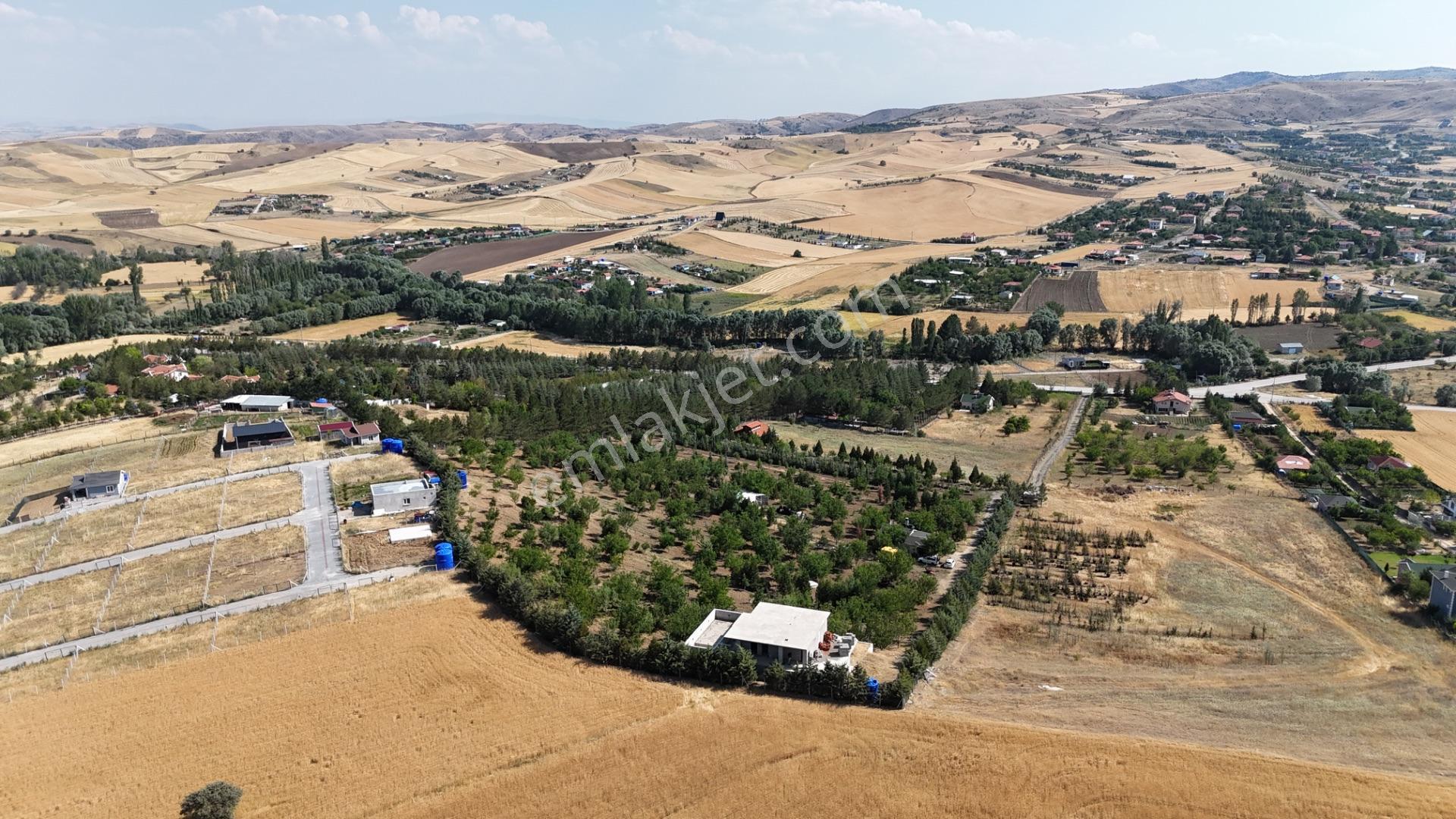 Pursaklar Yeşilyurt'ta 18.198 M2 Müstakil Tapulu Çiftlik - Görsel 19