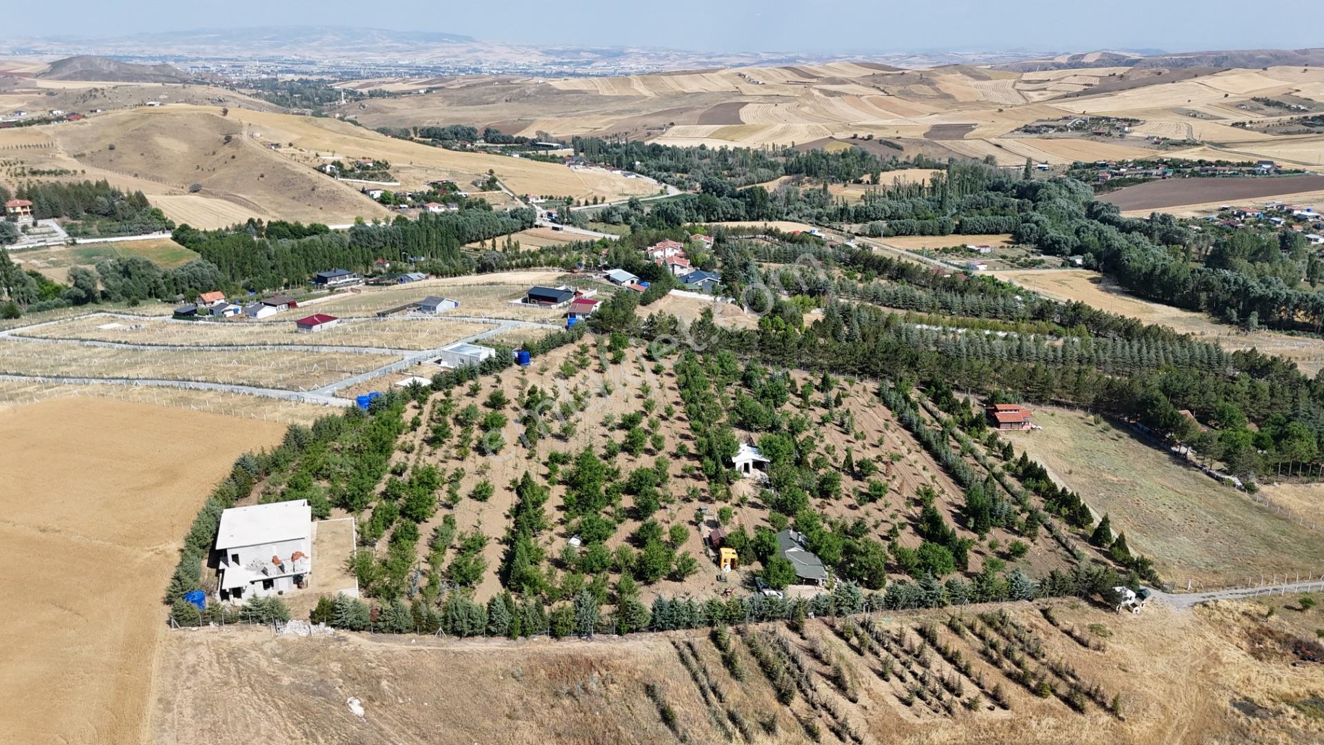 Pursaklar Yeşilyurt'ta 18.198 M2 Müstakil Tapulu Çiftlik - Görsel 25