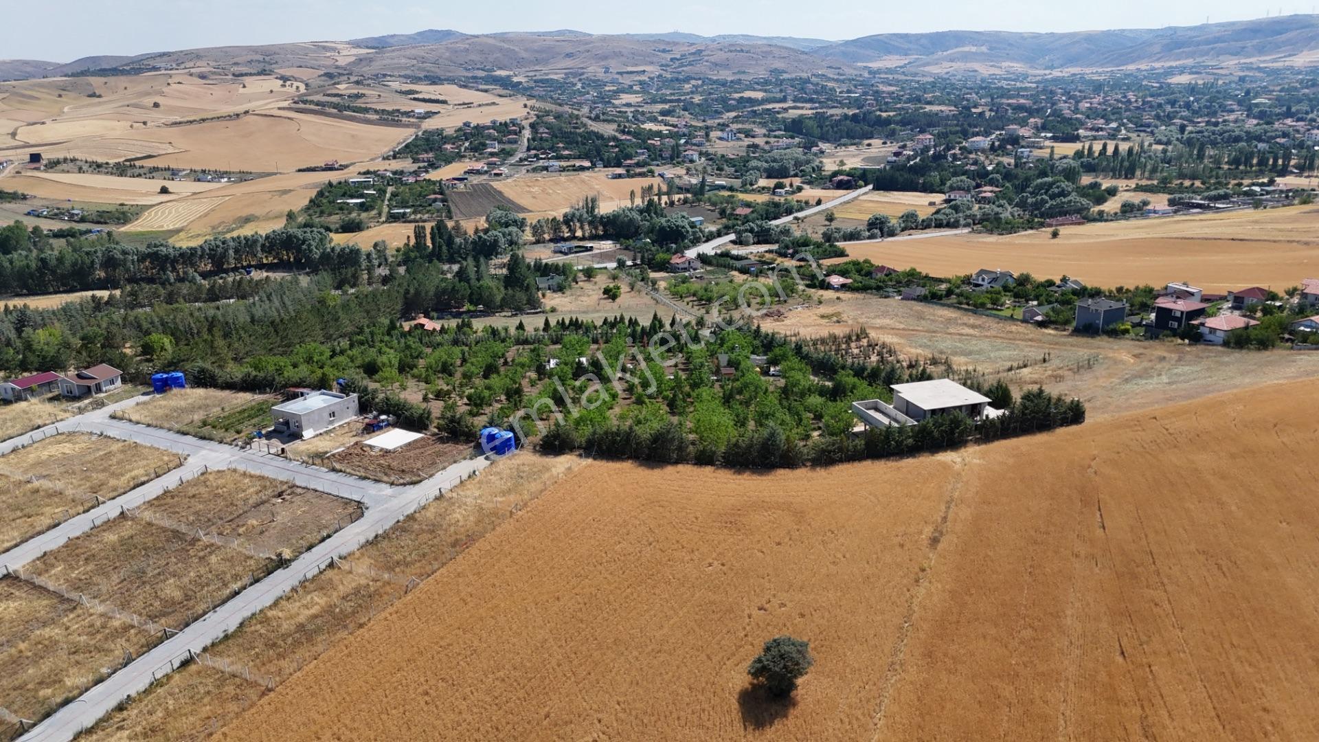 Pursaklar Yeşilyurt'ta 18.198 M2 Müstakil Tapulu Çiftlik - Görsel 9