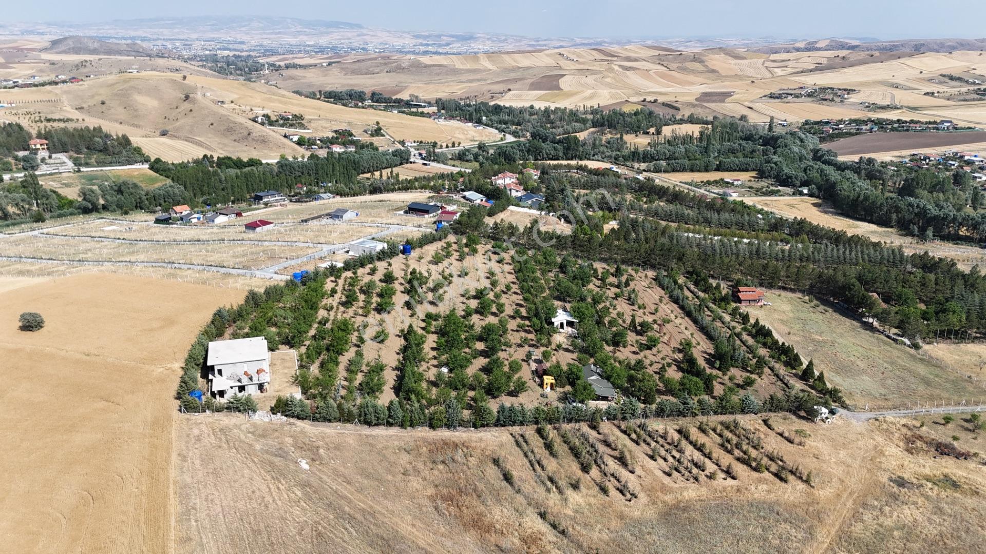 Pursaklar Yeşilyurt'ta 18.198 M2 Müstakil Tapulu Çiftlik - Görsel 24