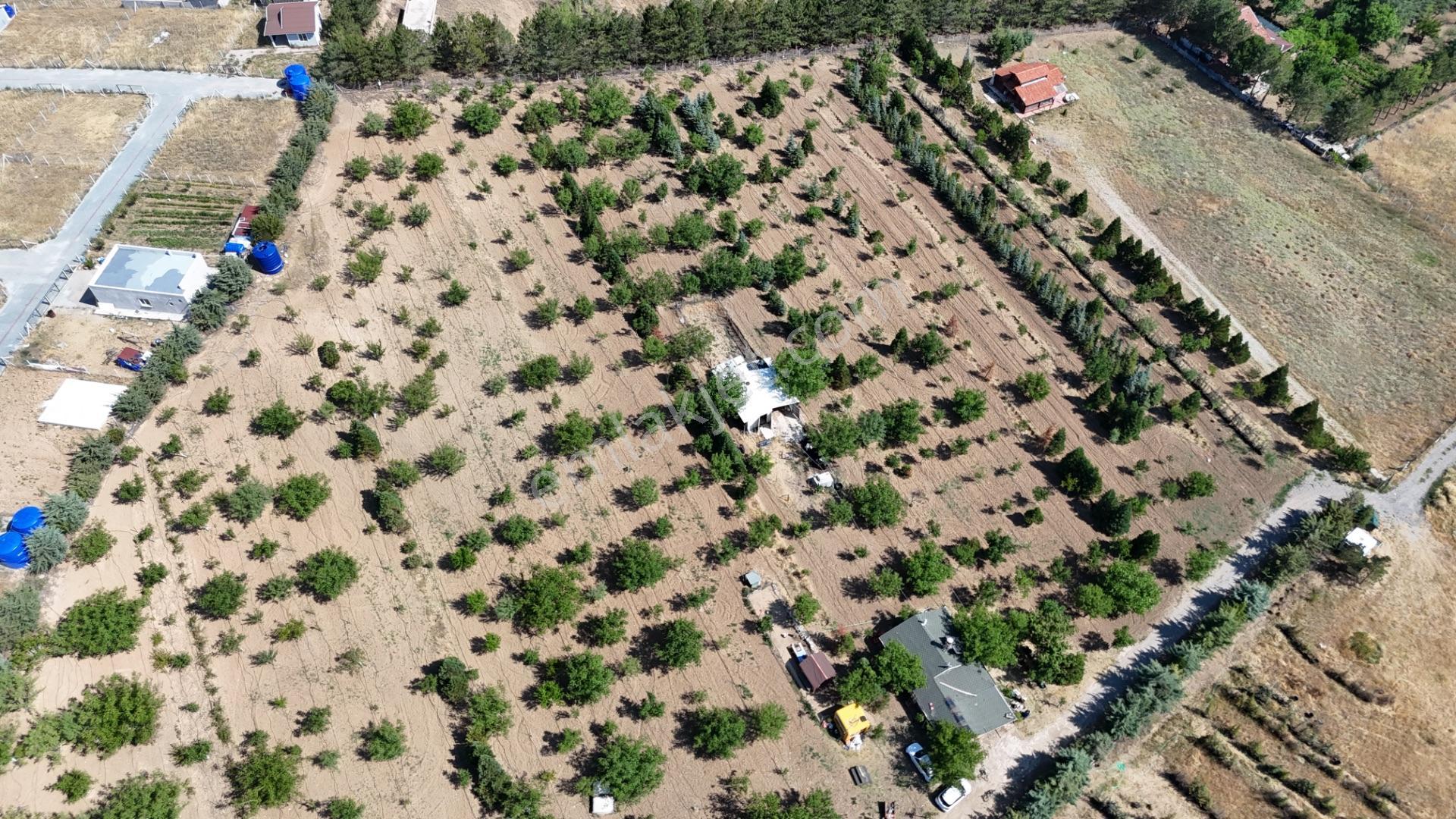 Pursaklar Yeşilyurt'ta 18.198 M2 Müstakil Tapulu Çiftlik - Görsel 14