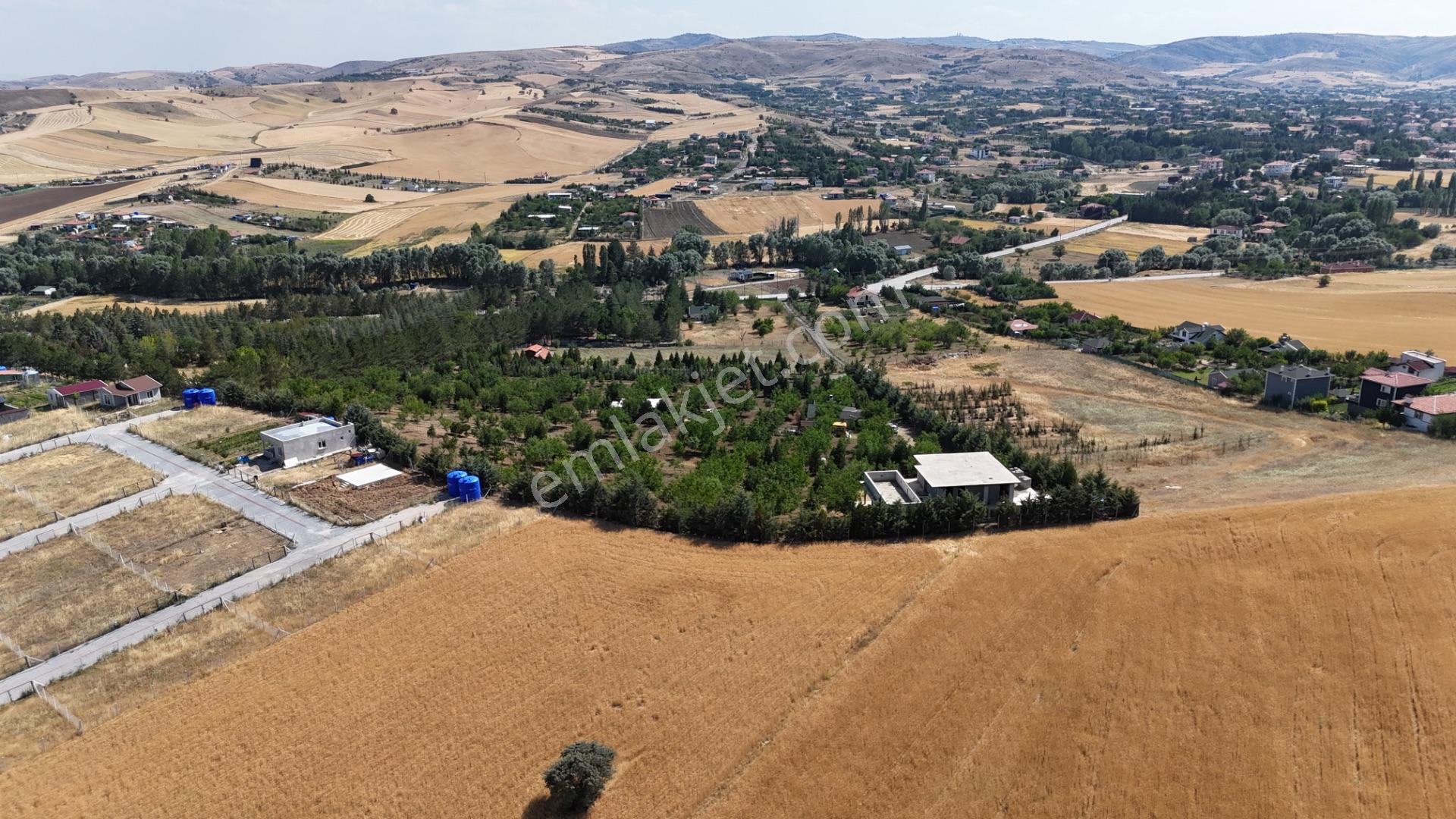 Pursaklar Yeşilyurt'ta 18.198 M2 Müstakil Tapulu Çiftlik - Görsel 8