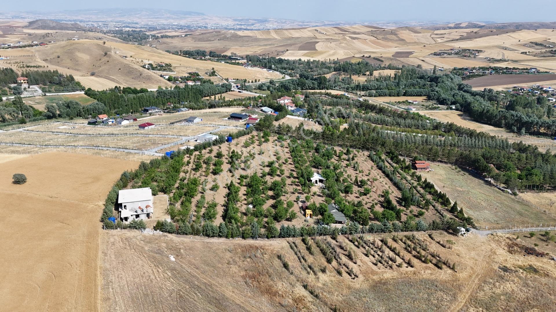 Pursaklar Yeşilyurt'ta 18.198 M2 Müstakil Tapulu Çiftlik - Görsel 23