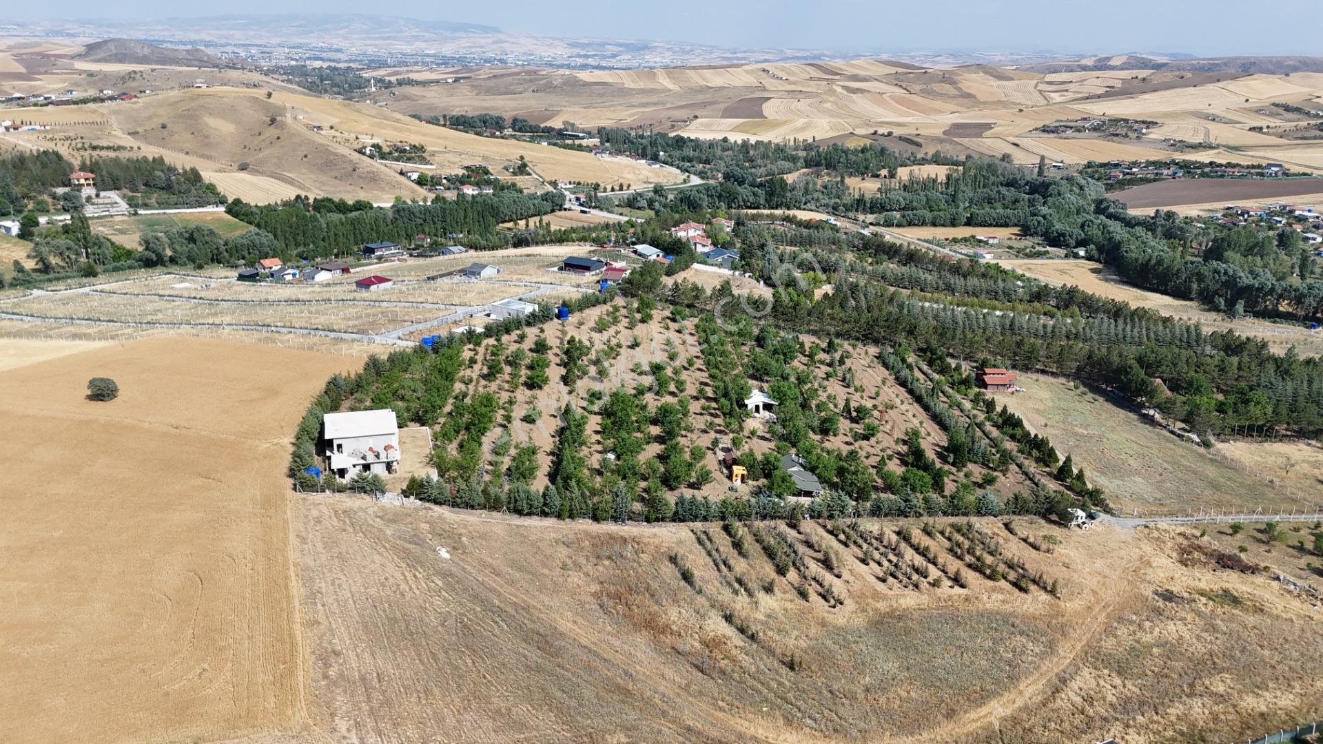 Pursaklar Yeşilyurt'ta 18.198 M2 Müstakil Tapulu Çiftlik - Görsel 22