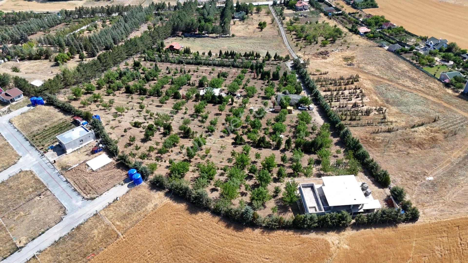 Pursaklar Yeşilyurt'ta 18.198 M2 Müstakil Tapulu Çiftlik - Görsel 3