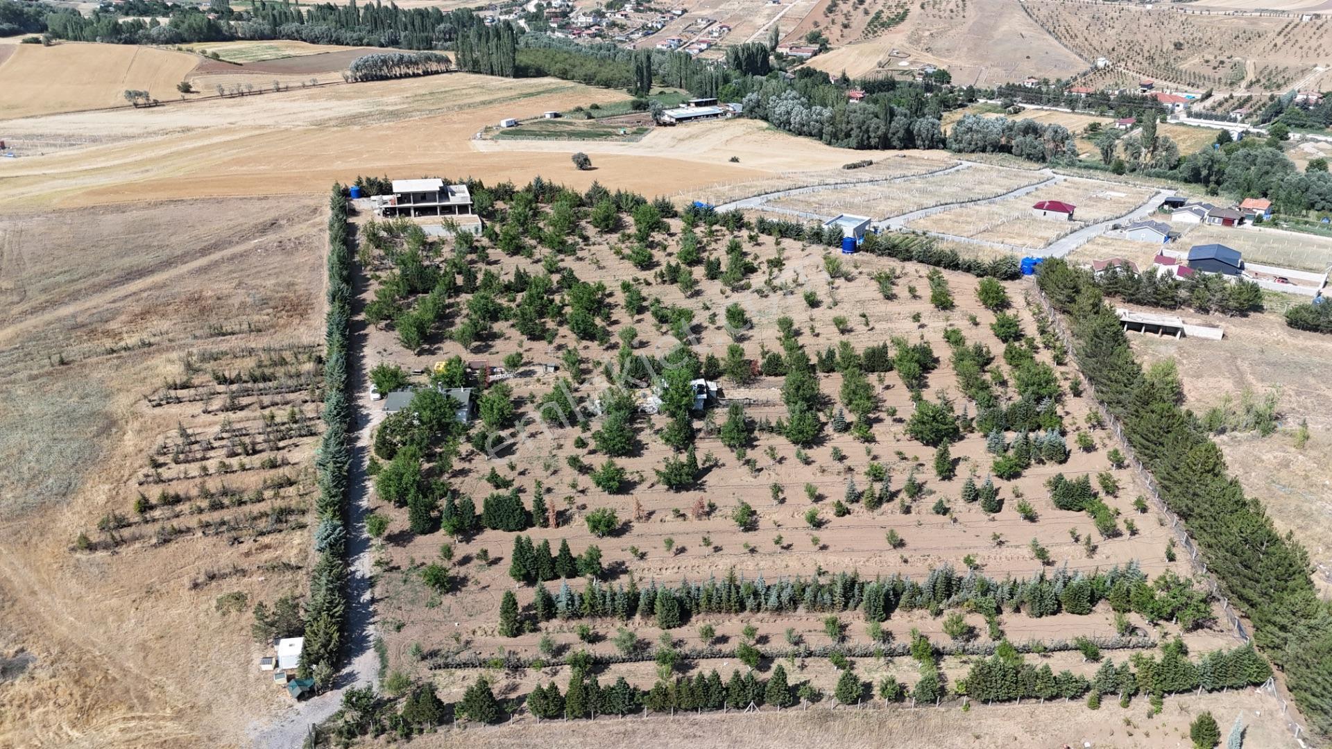 Pursaklar Yeşilyurt'ta 18.198 M2 Müstakil Tapulu Çiftlik - Görsel 28