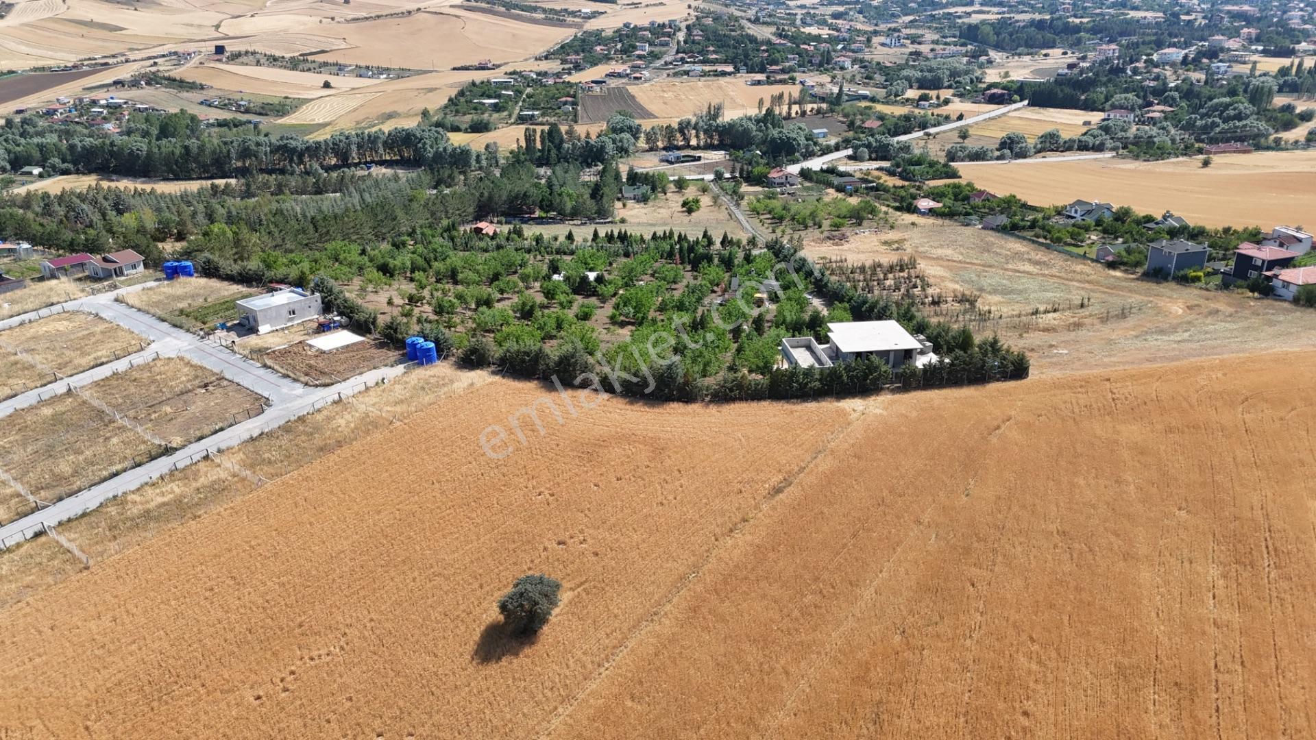 Pursaklar Yeşilyurt'ta 18.198 M2 Müstakil Tapulu Çiftlik - Görsel 7