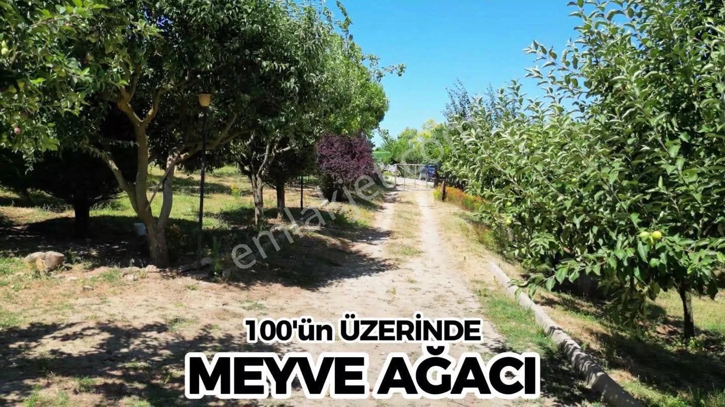 English İs Well 🧿*istanbul Silivri Akören’de Doğa İçinde Ultra Lüks Satılık Çiftlik Malikhane 💫 - Görsel 15
