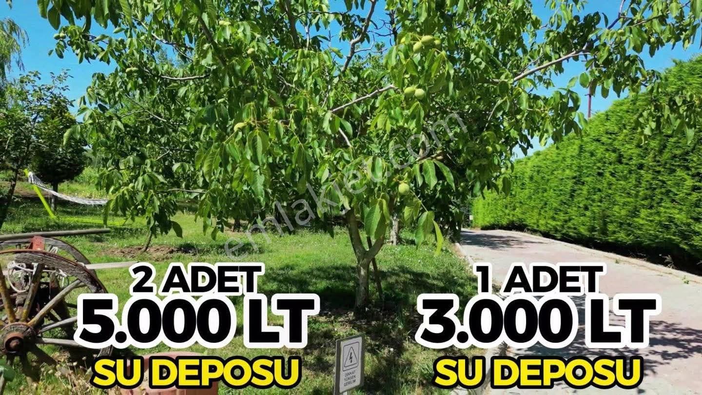 English İs Well 🧿*istanbul Silivri Akören’de Doğa İçinde Ultra Lüks Satılık Çiftlik Malikhane 💫 - Görsel 7