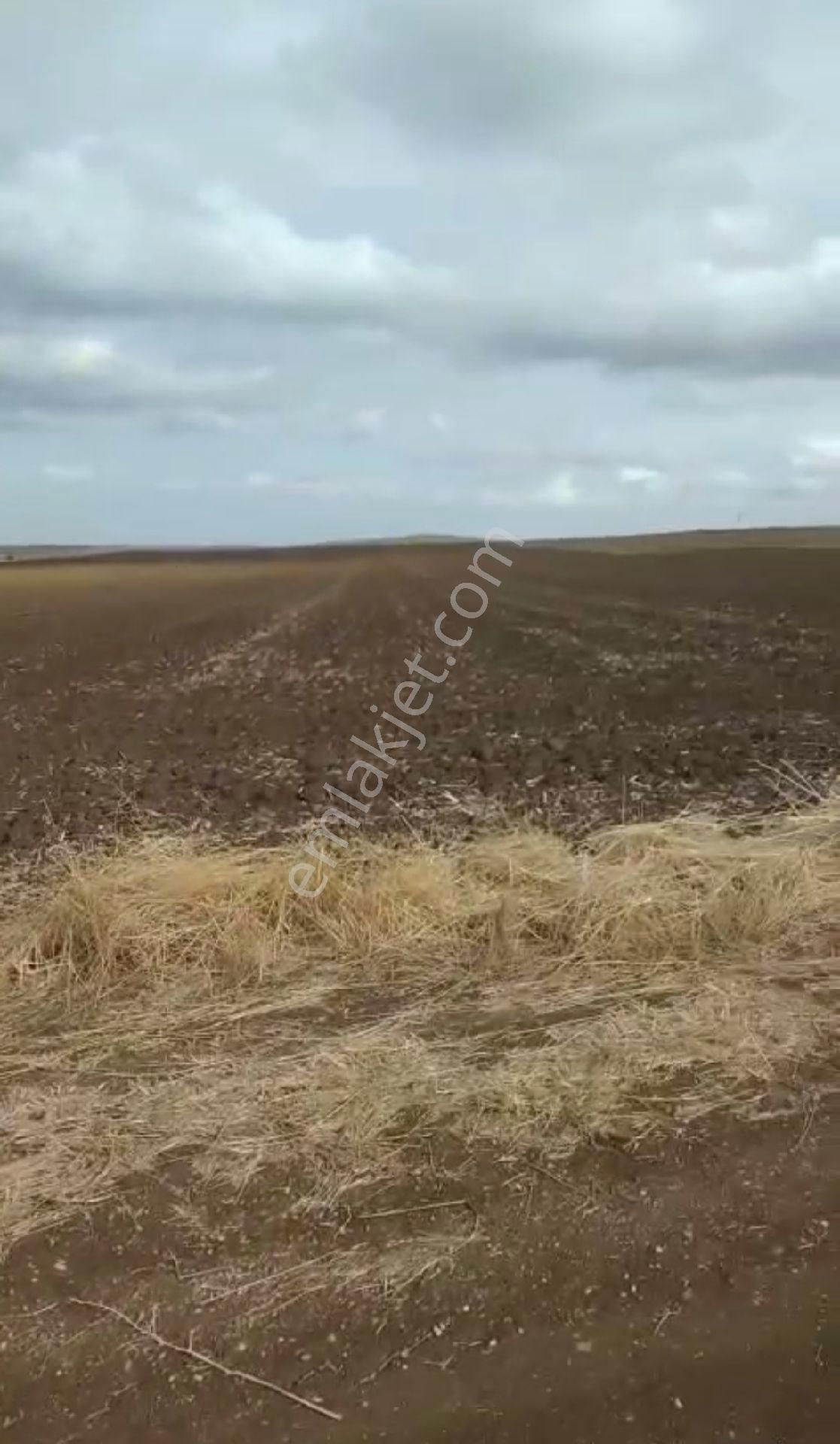 Tekirdağ Çorlu Yenice'de 140m2 Villa İmarlı Satılık Arsa - Görsel 7