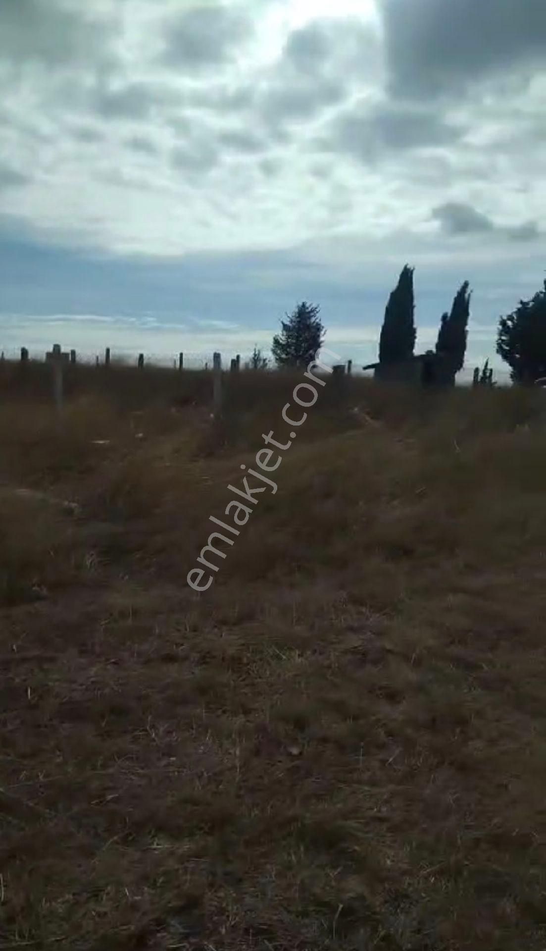 Tekirdağ Çorlu Yenice'de 140m2 Villa İmarlı Satılık Arsa - Görsel 11