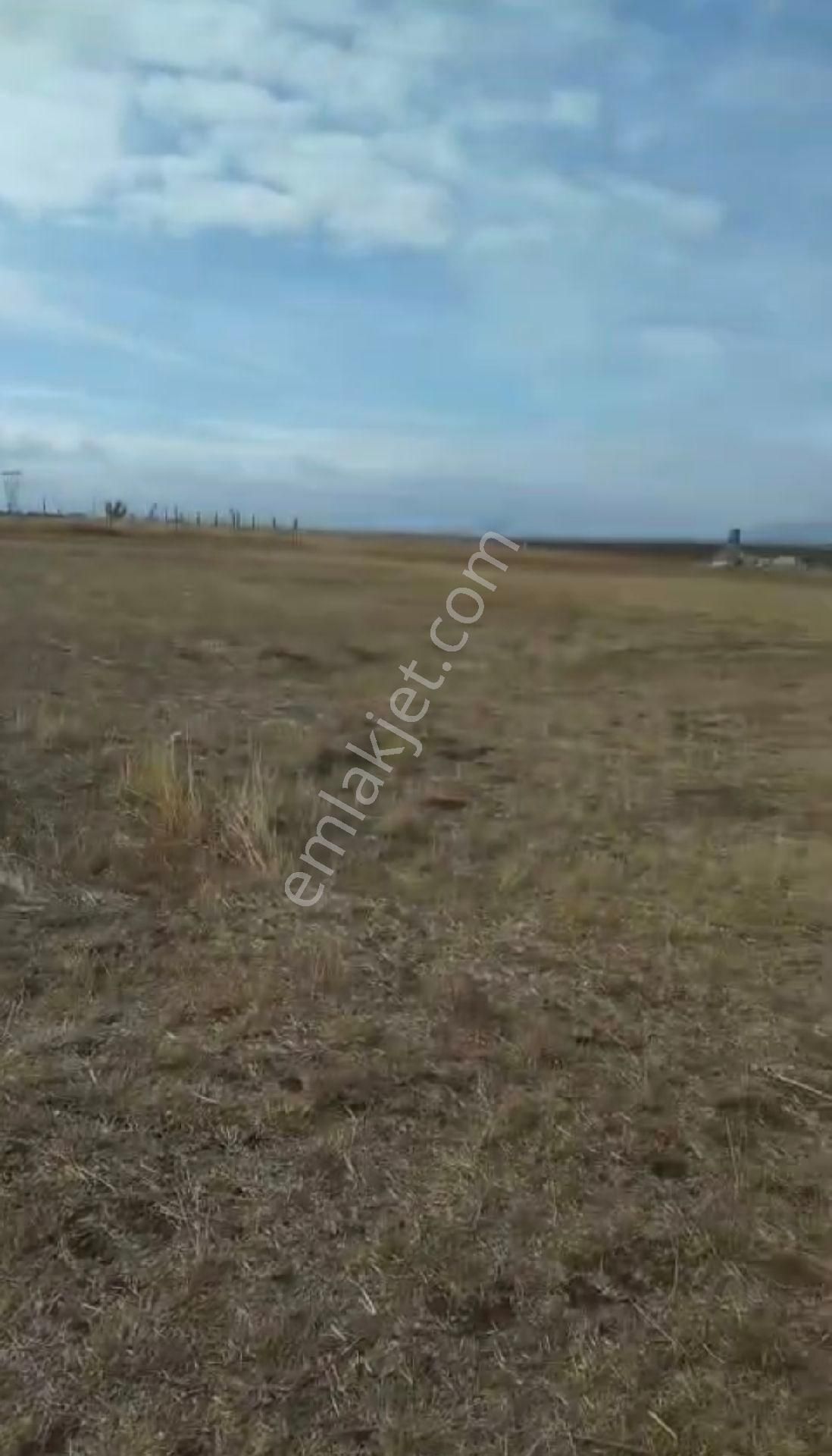 Tekirdağ Çorlu Yenice'de 140m2 Villa İmarlı Satılık Arsa - Görsel 8