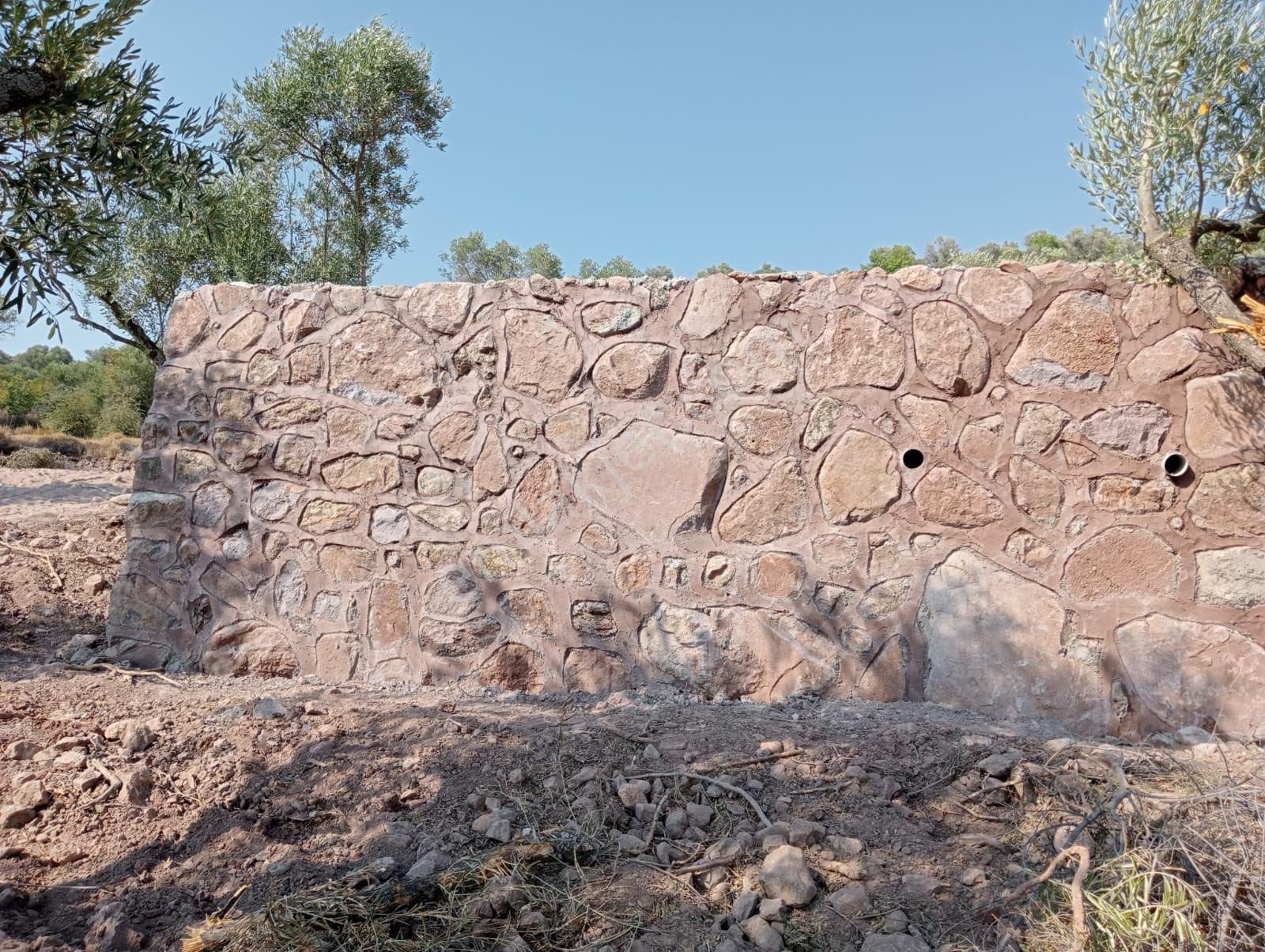 Mollasüleymanlı 2 Ayrı Tapulu Toplam 1960m2 Mükemmel Yer Takas Var - Görsel 16