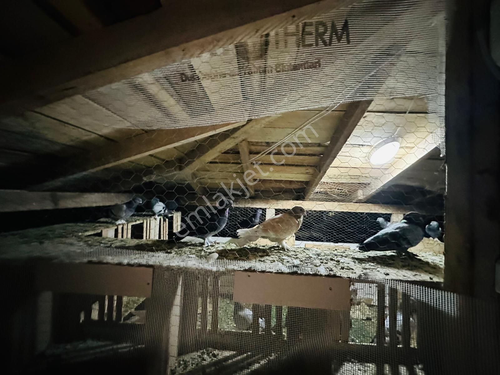 Gesi Sağlık Mah Satılık 2+1 Butik Villa Meskenli Dogalgazlı - Görsel 27