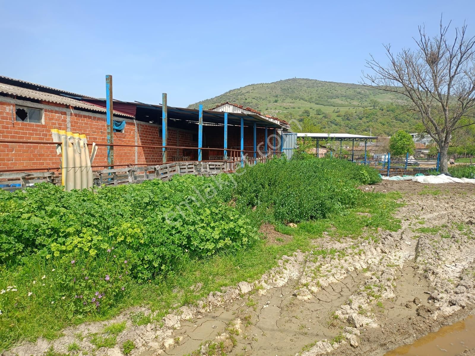 Bursa Mustafakemalpaşa Ocaklı Mahallesi Satılık Arsa - Görsel 10