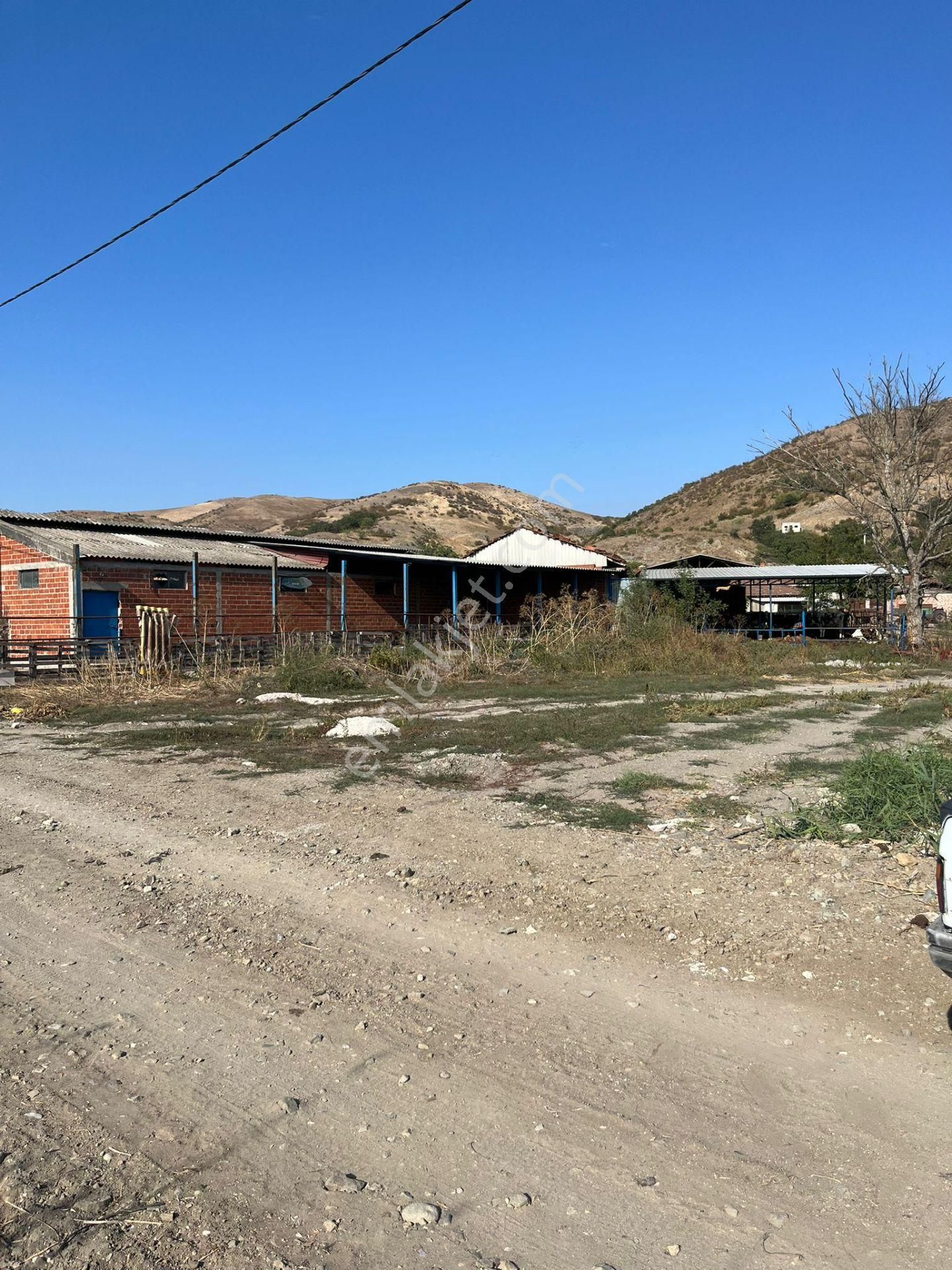 Bursa Mustafakemalpaşa Ocaklı Mahallesi Satılık Arsa - Görsel 16