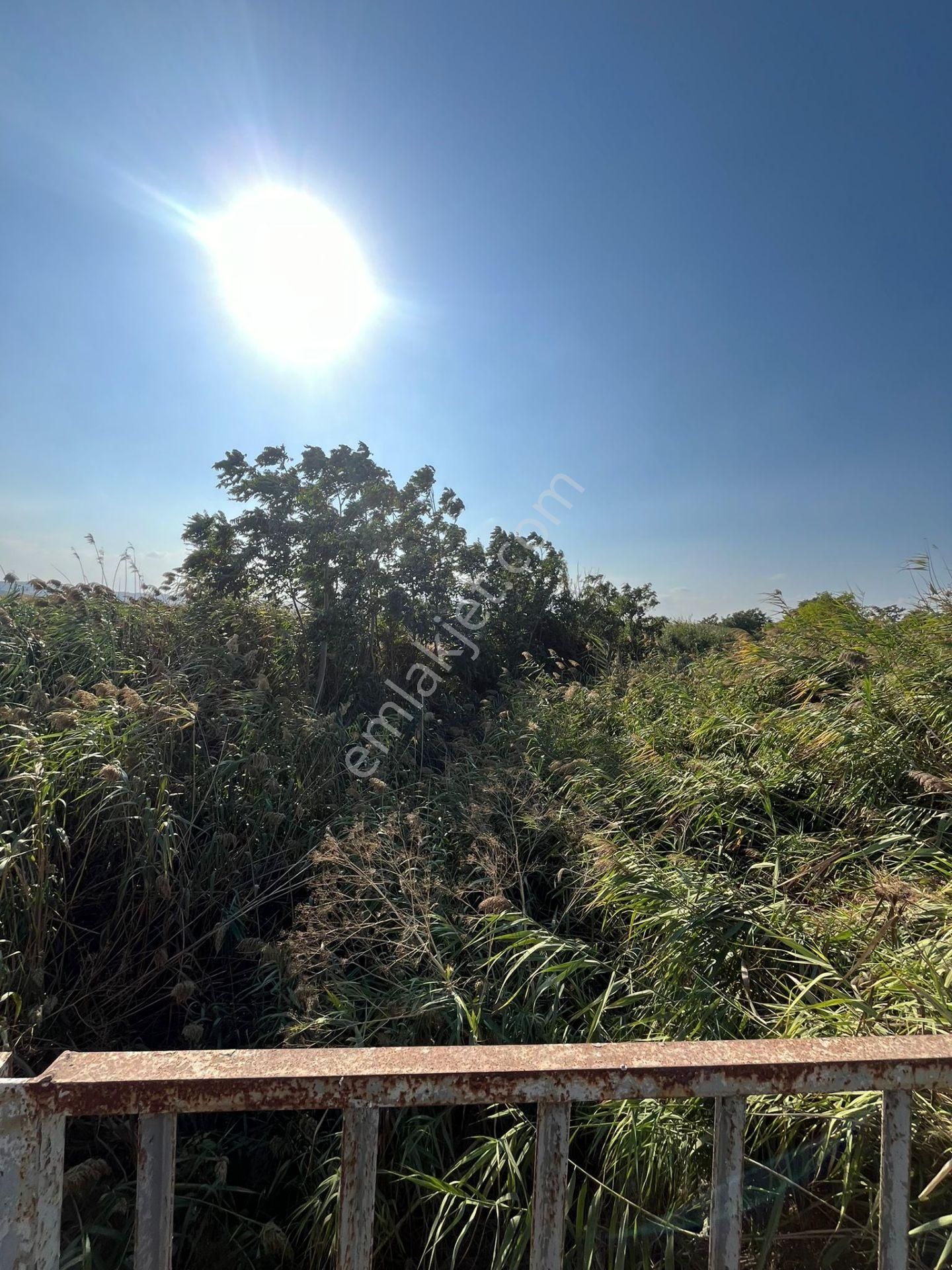 Bursa Mustafakemalpaşa Ocaklı Mahallesi Satılık Arsa - Görsel 20