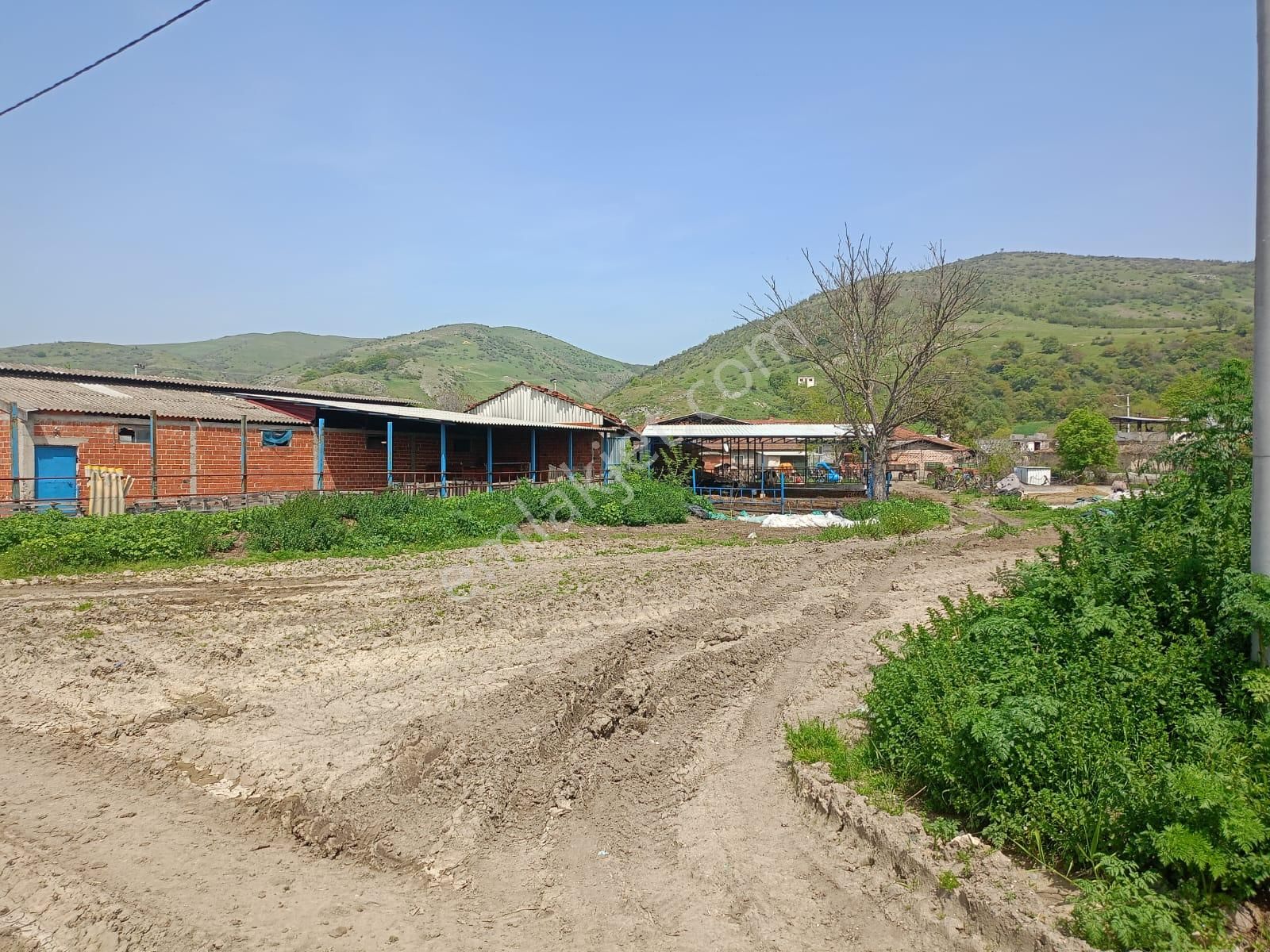 Bursa Mustafakemalpaşa Ocaklı Mahallesi Satılık Arsa - Görsel 9