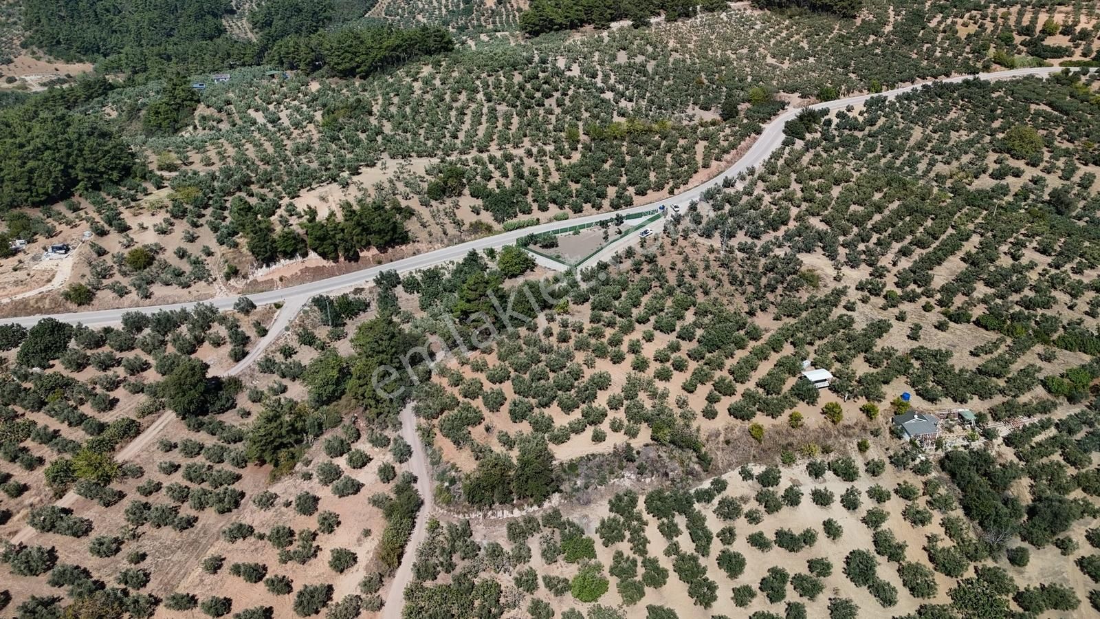 Bursa / Gündoğdu Muhteşem 2410 M2 Tarla - Görsel 6