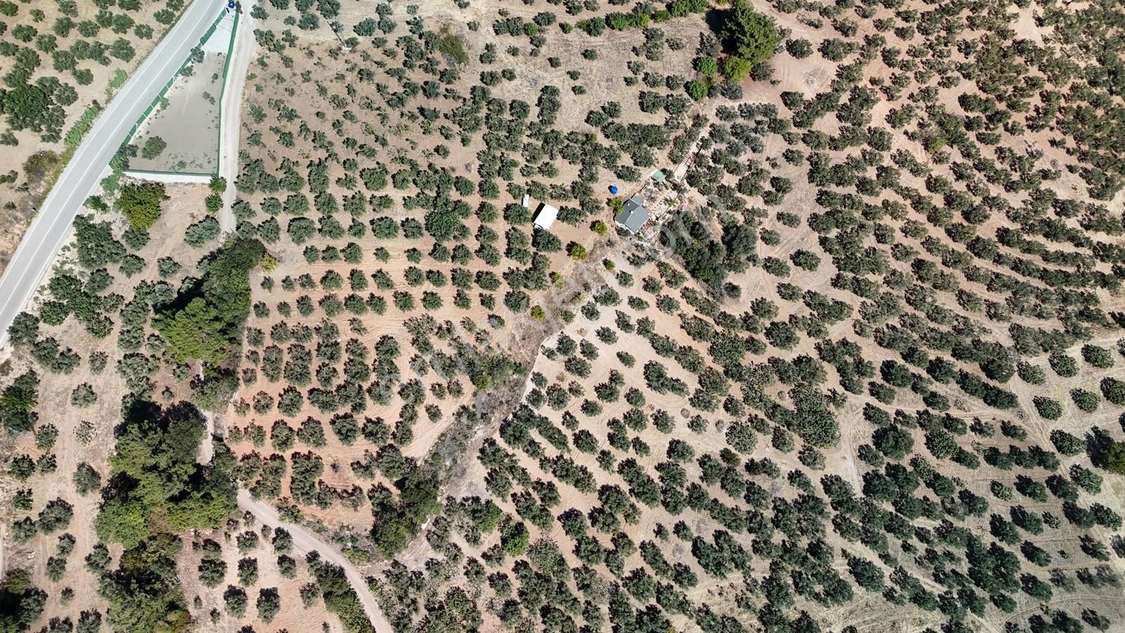 Bursa / Gündoğdu Muhteşem 2410 M2 Tarla - Görsel 7