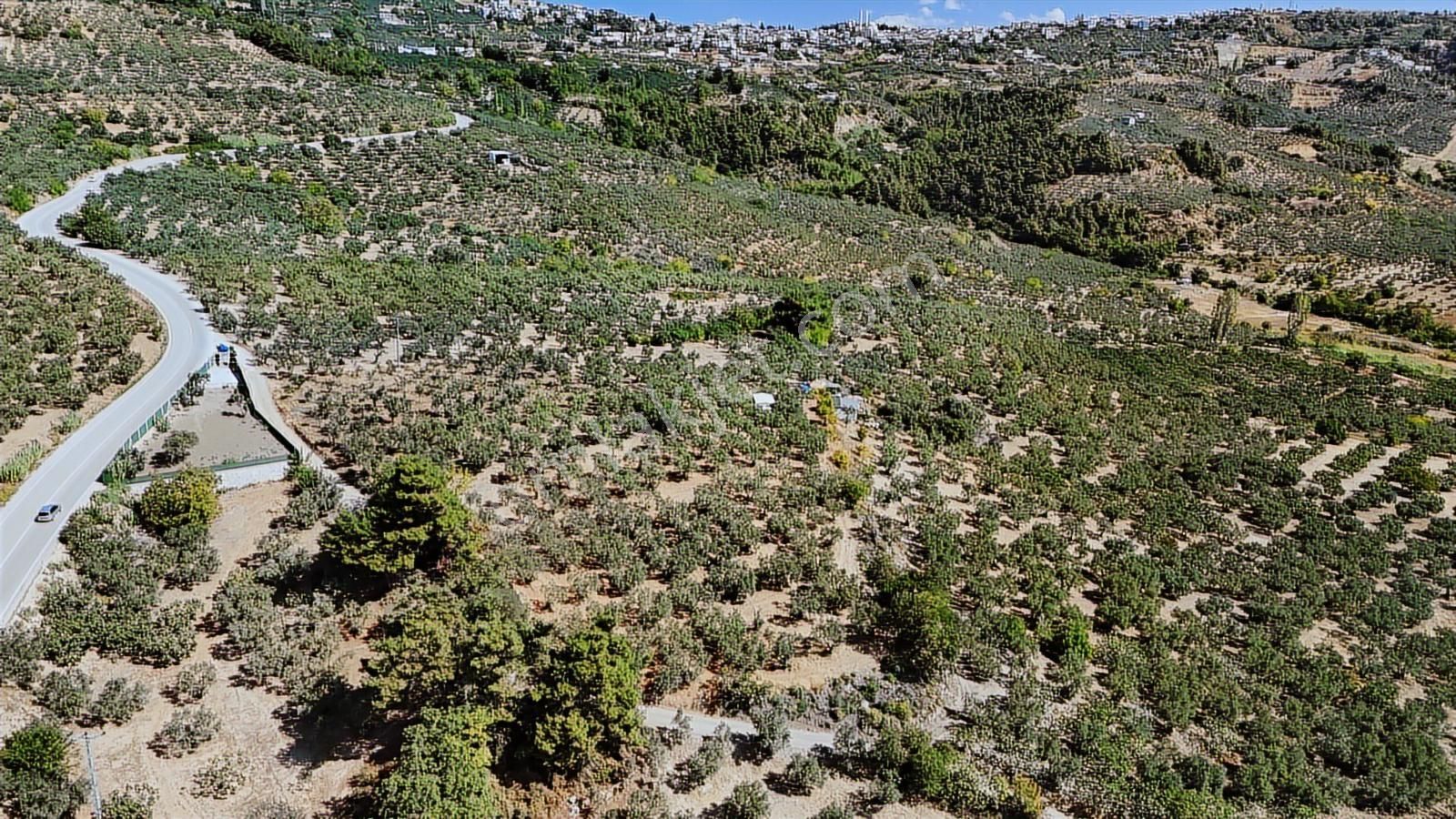 Bursa / Gündoğdu Muhteşem 2410 M2 Tarla - Görsel 4