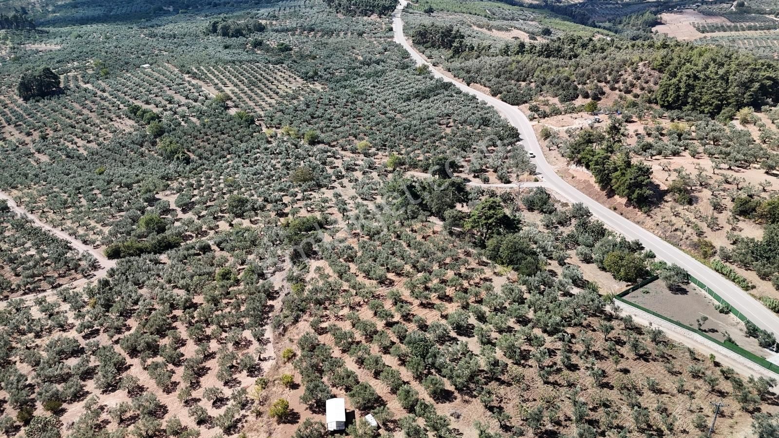 Bursa / Gündoğdu Muhteşem 2410 M2 Tarla - Görsel 5