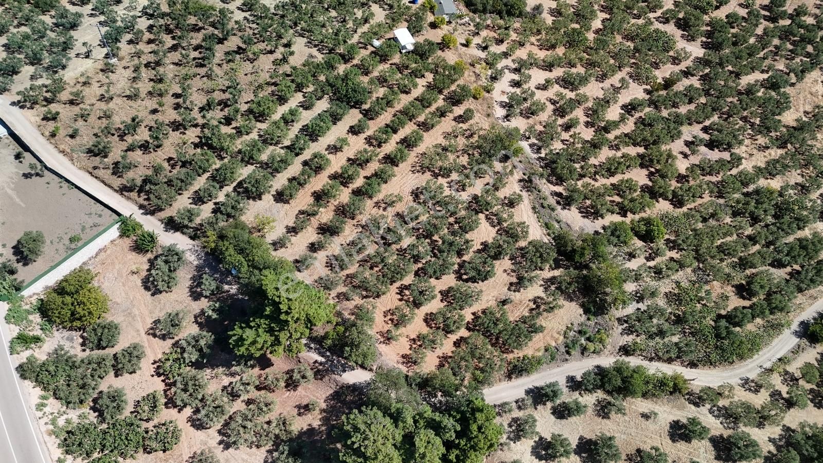Bursa / Gündoğdu Muhteşem 2410 M2 Tarla - Görsel 9