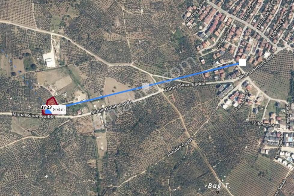 Gemlik Umurbey Köyünde Yola Cepheli Köy Merkezine Yakın Tarla - Görsel 2