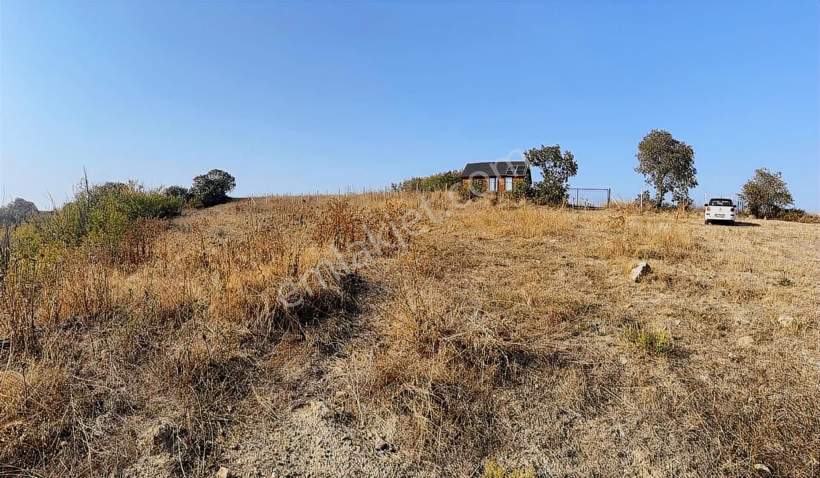 Bursa İnegöl Boğazköy'de Satılık Tarla - Görsel 6