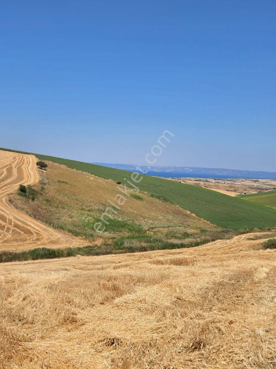 Çanakkale, Gelibolu, Güneyli Satılık Tarla