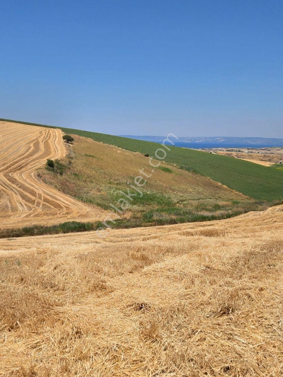 Çanakkale, Gelibolu, Güneyli Satılık Tarla - Görsel 7