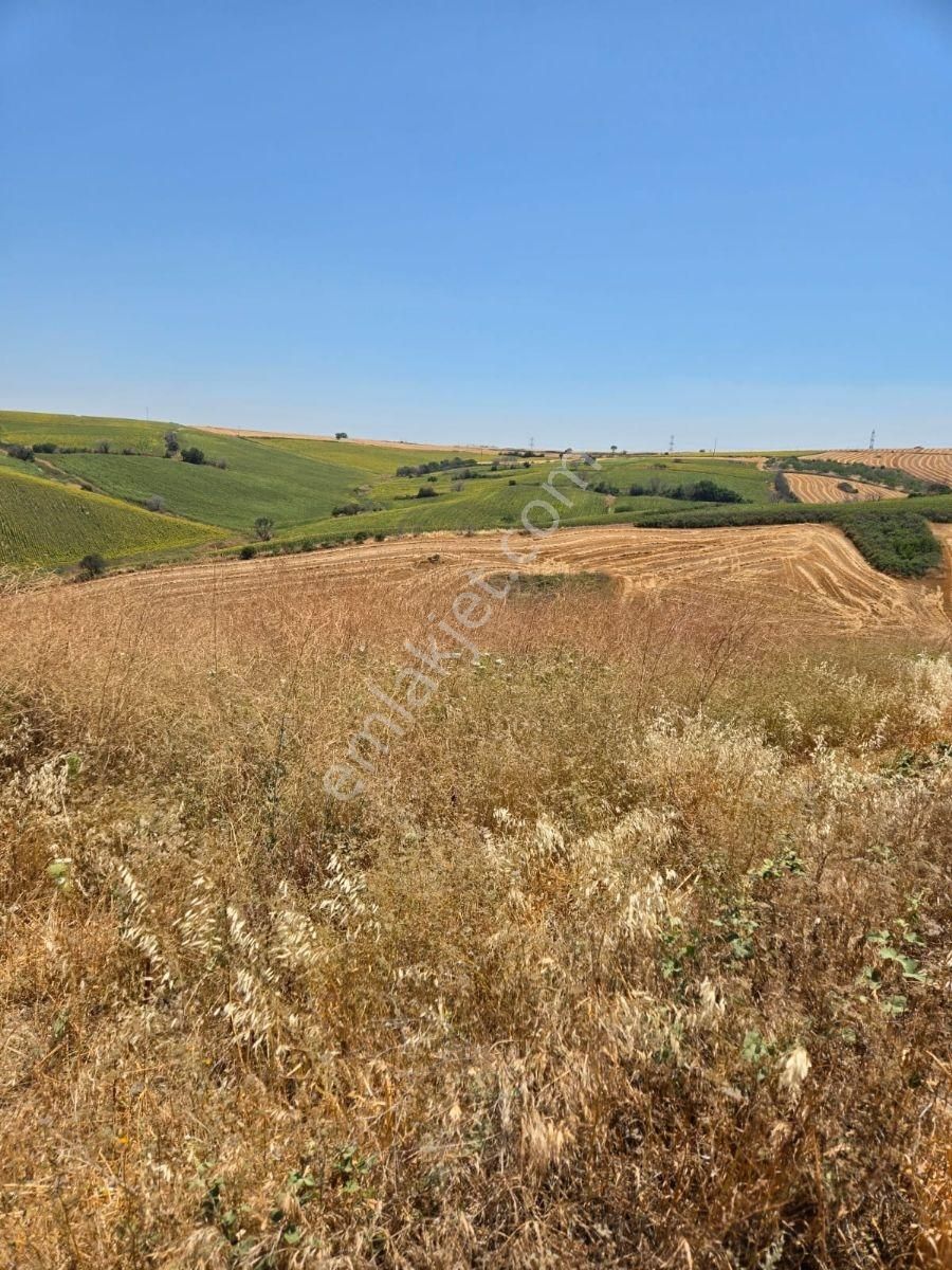 Çanakkale, Gelibolu, Güneyli Satılık Tarla - Görsel 8