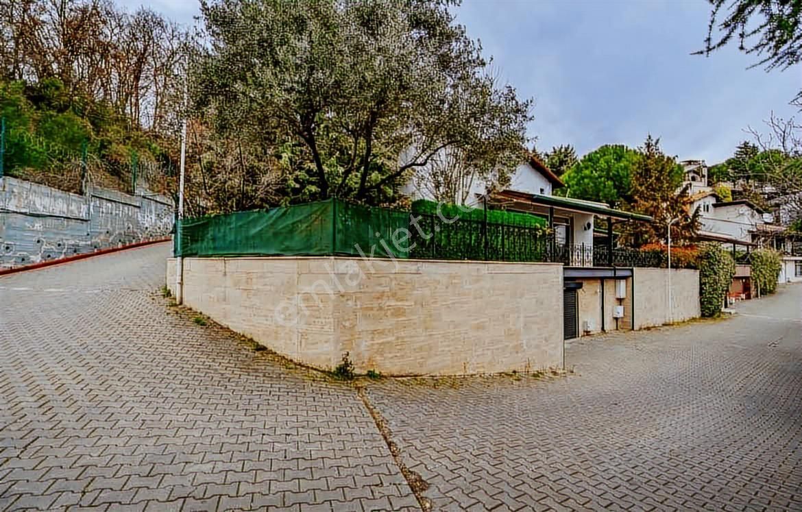 Bademlide Kiralık Villa - Görsel 2