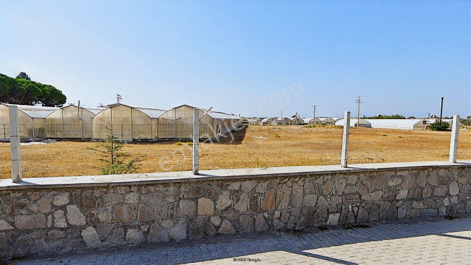 İzmir Dikili' De Satılık Arsa - Görsel 11