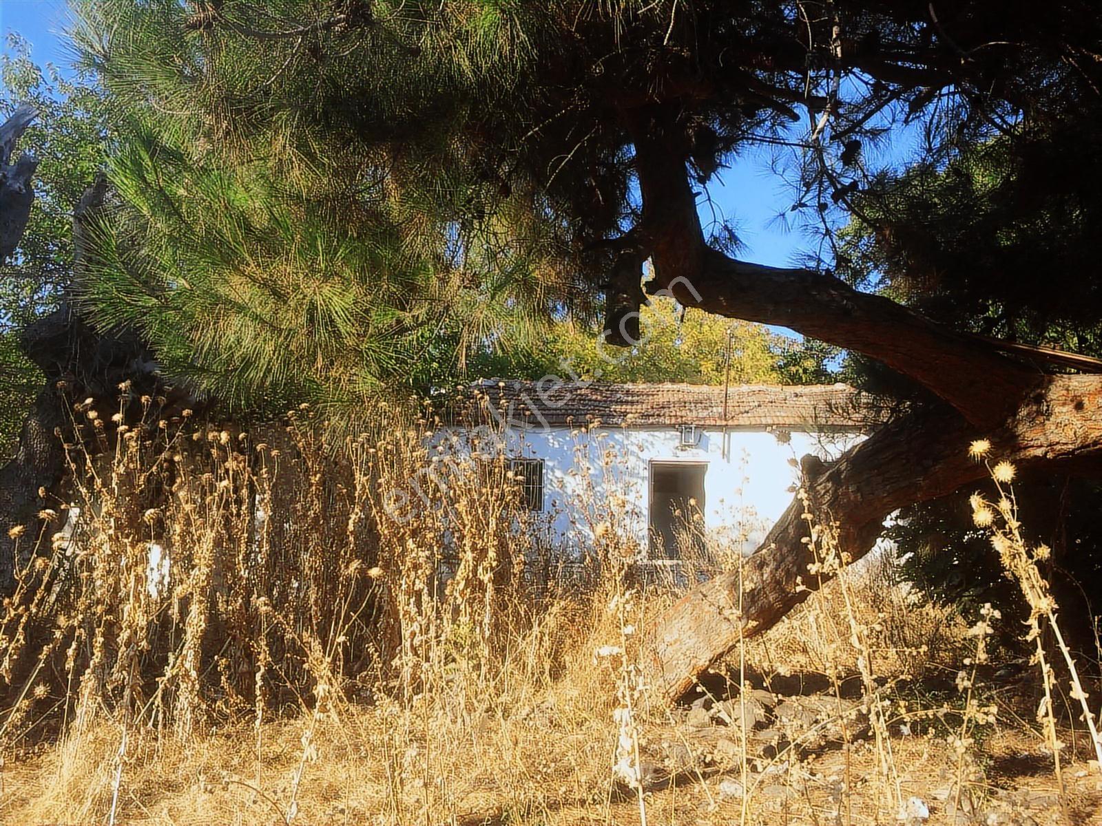 İzmir Dikili' De Satılık Arsa - Görsel 3