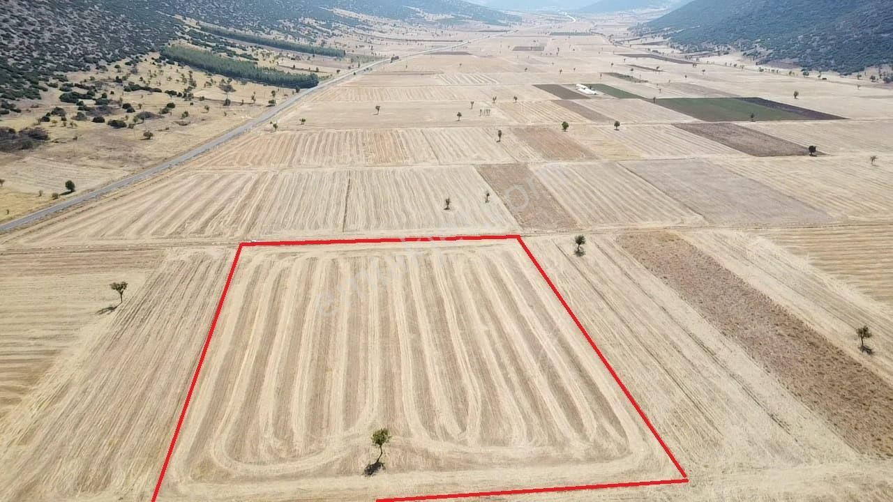 Tavas Garipköyde Asfalt Yola 100 Metre Mesafede Tarla - Görsel 4