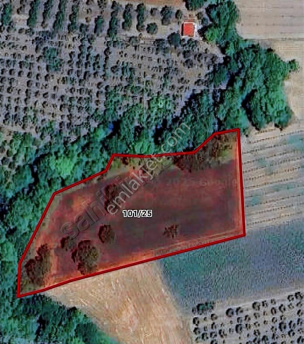 Mudanya Dereköyde Yatırımlık 6154 M2 Arazi - Görsel 2