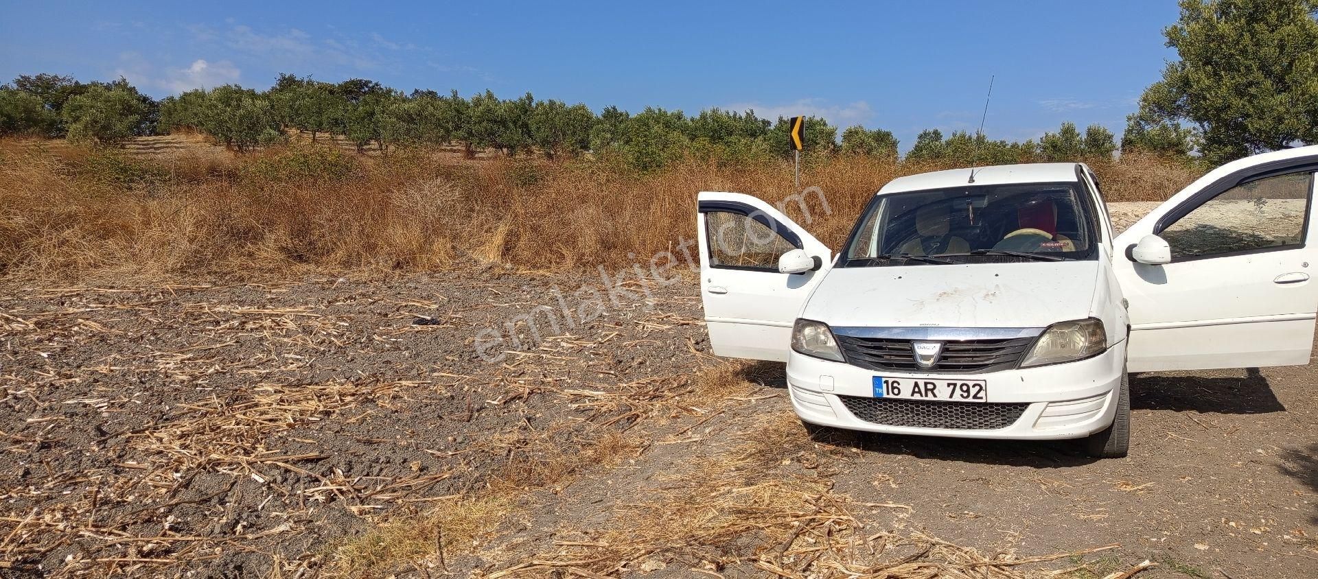 Mudanya Hançerli Mahallesi Satılık 7.900 Mt Anayola Cepheli Tarla - Görsel 29