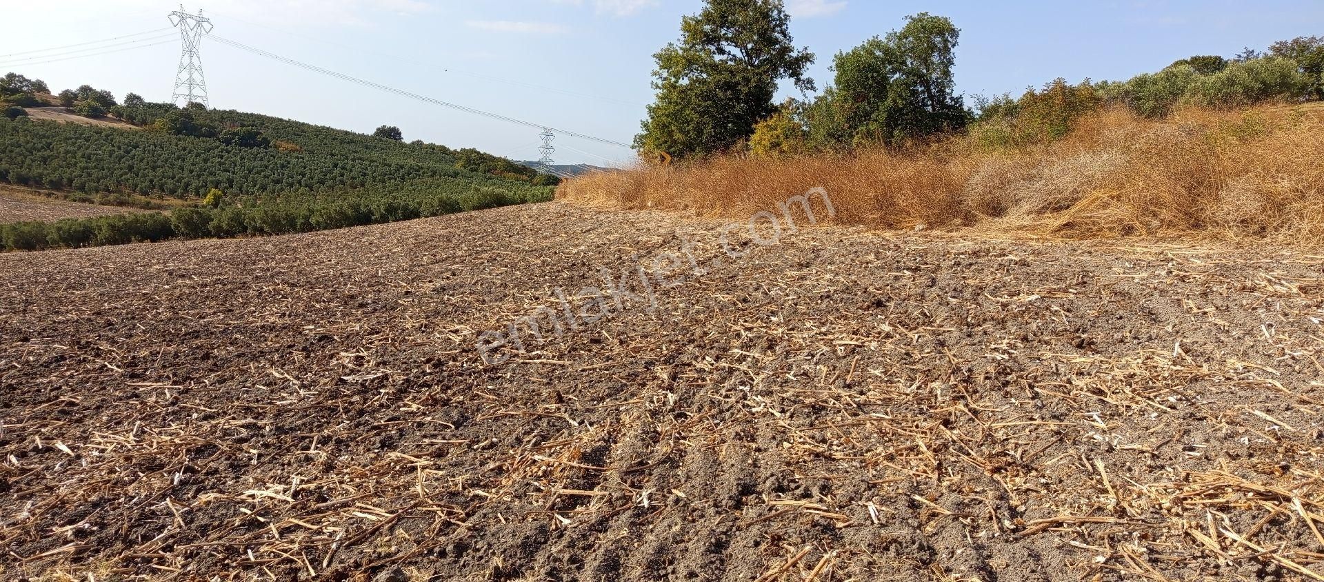 Mudanya Hançerli Mahallesi Satılık 7.900 Mt Anayola Cepheli Tarla - Görsel 28