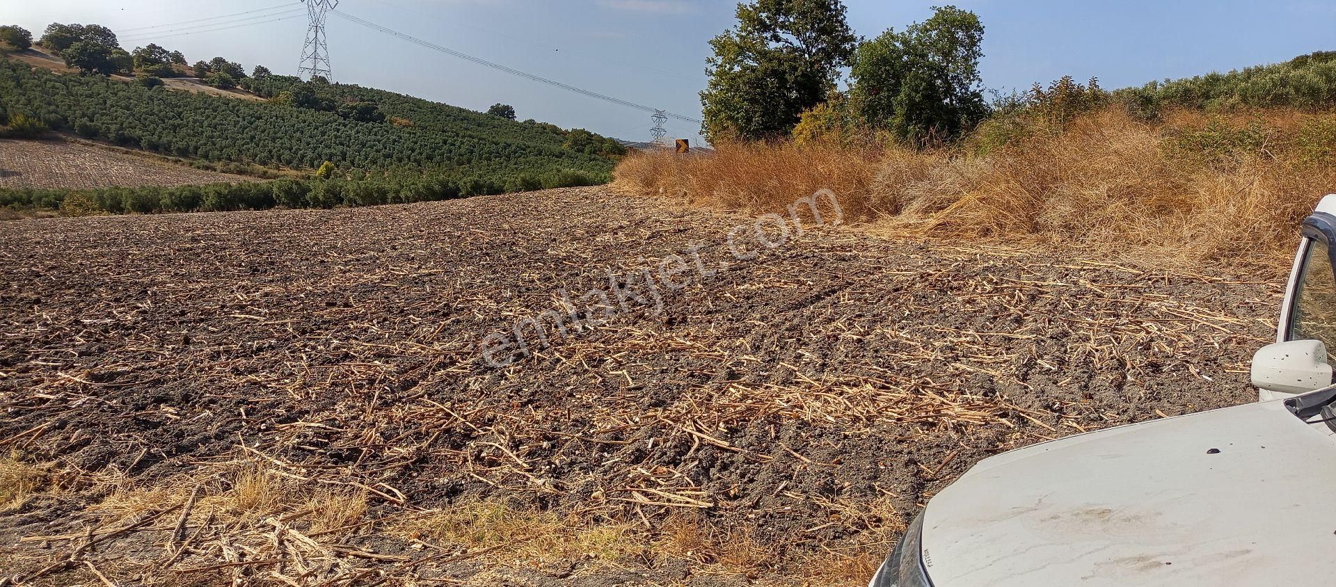 Mudanya Hançerli Mahallesi Satılık 7.900 Mt Anayola Cepheli Tarla - Görsel 30