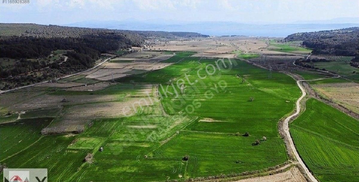 Çanakkale Eceabaat Yalovada Satılık Arazi 1858 M2