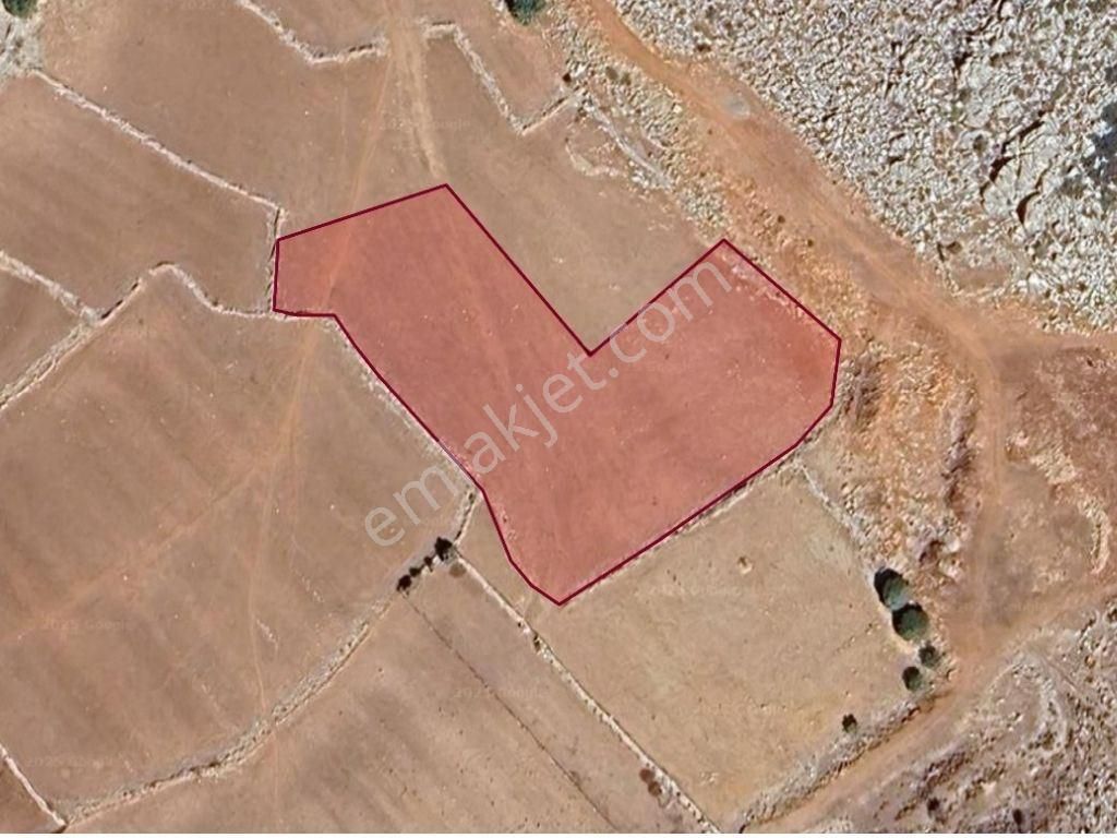 Marmaris Söğüt Taşlıca'da Satılık Arazi İdeal Yatırım Fırsatı! - Görsel 4